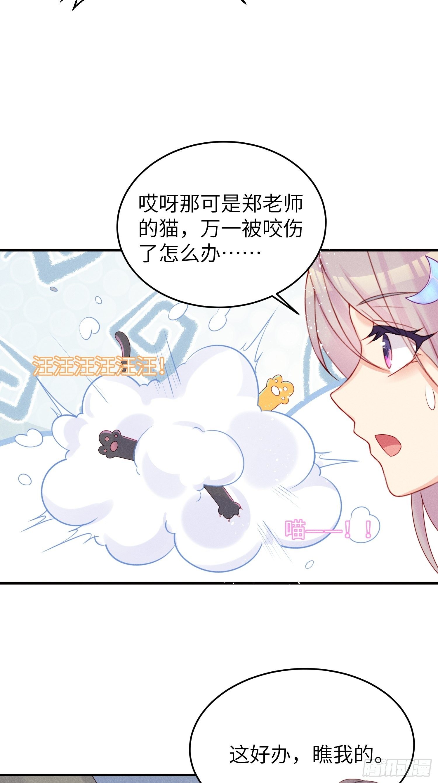 领地意识6