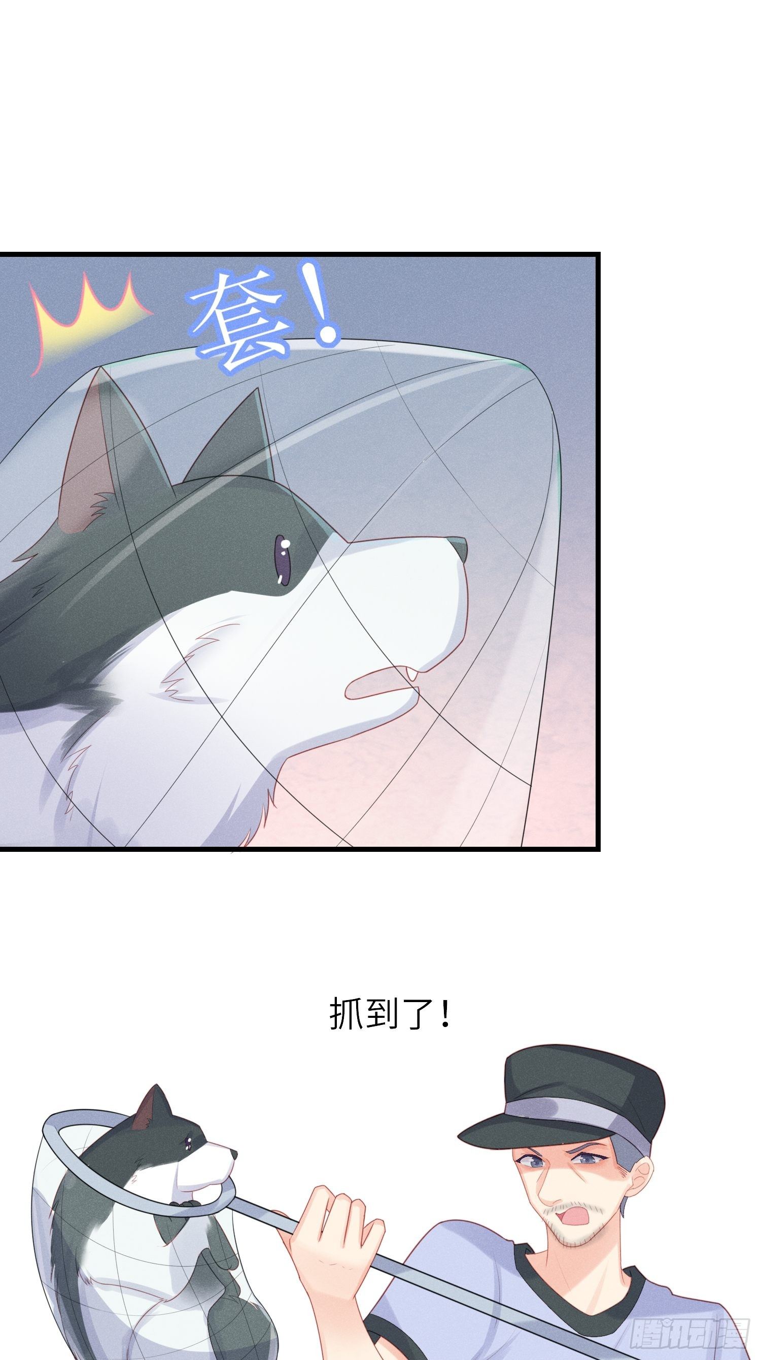 人类的好朋友28