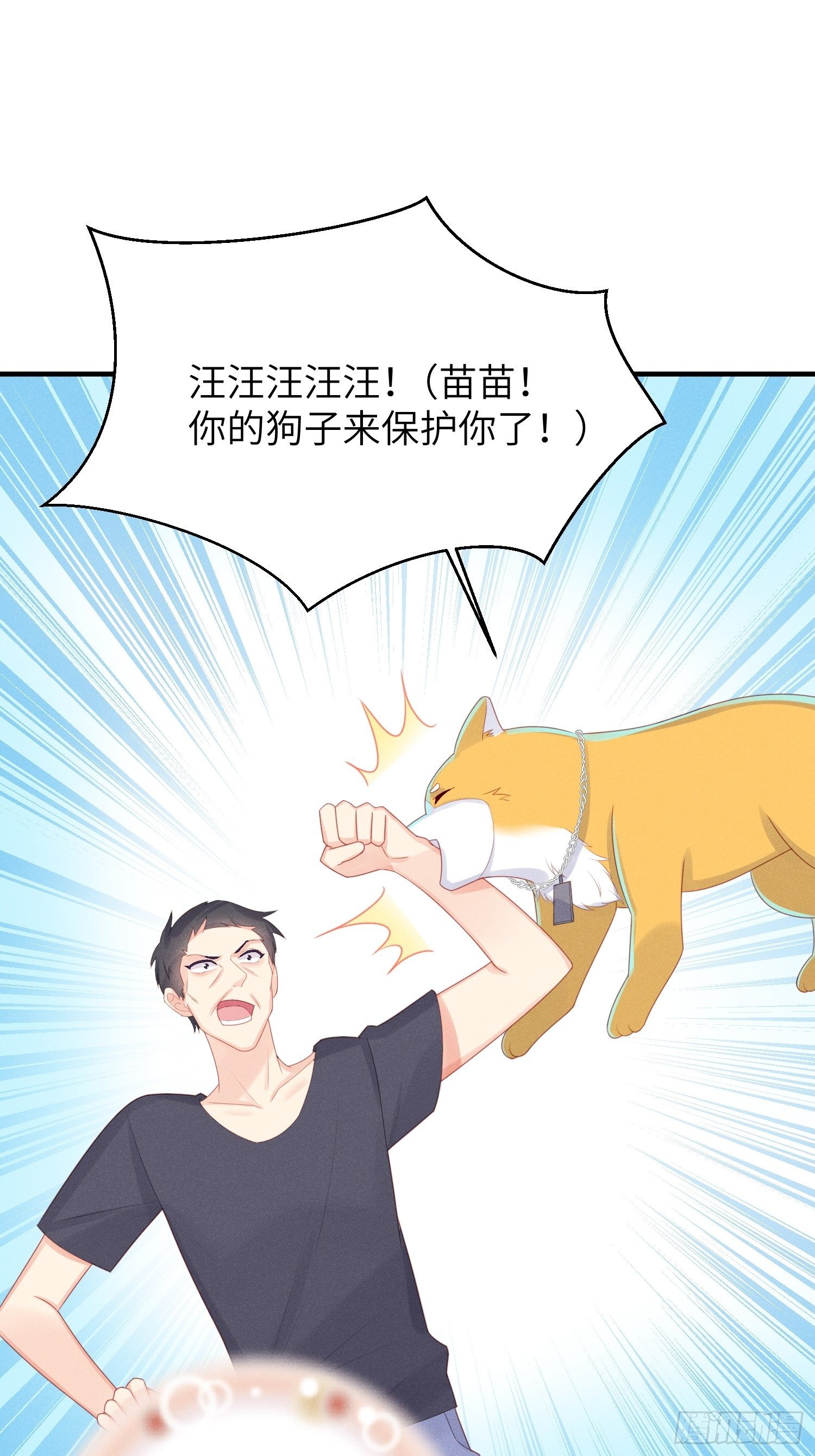 幼猫与虐猫畜牲21