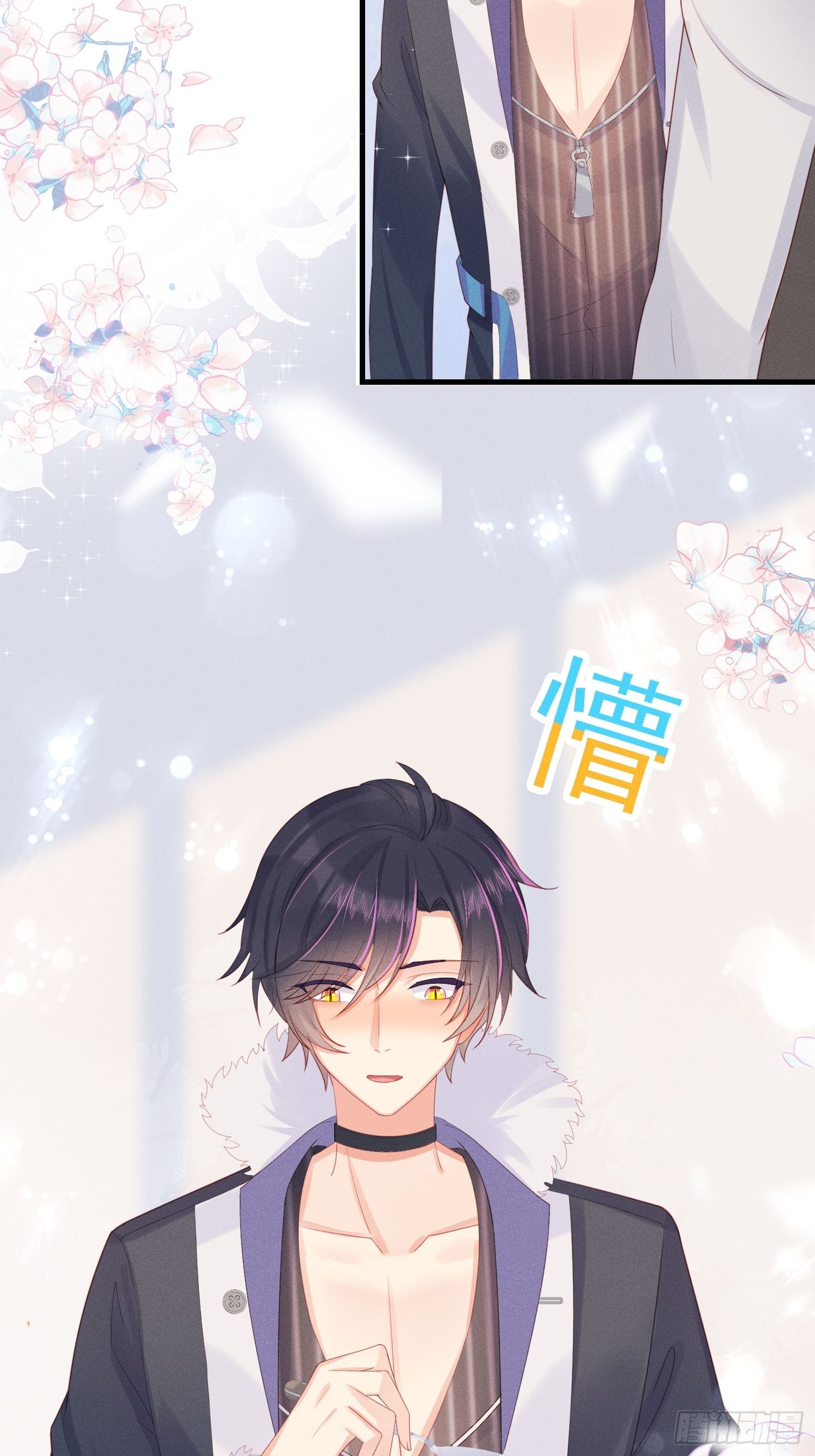 赌上喵的尊严！16