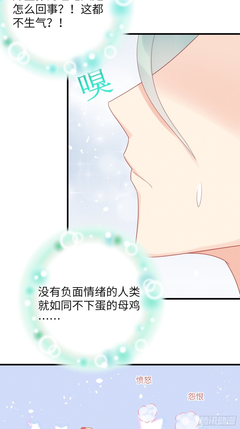 孔雀一族15