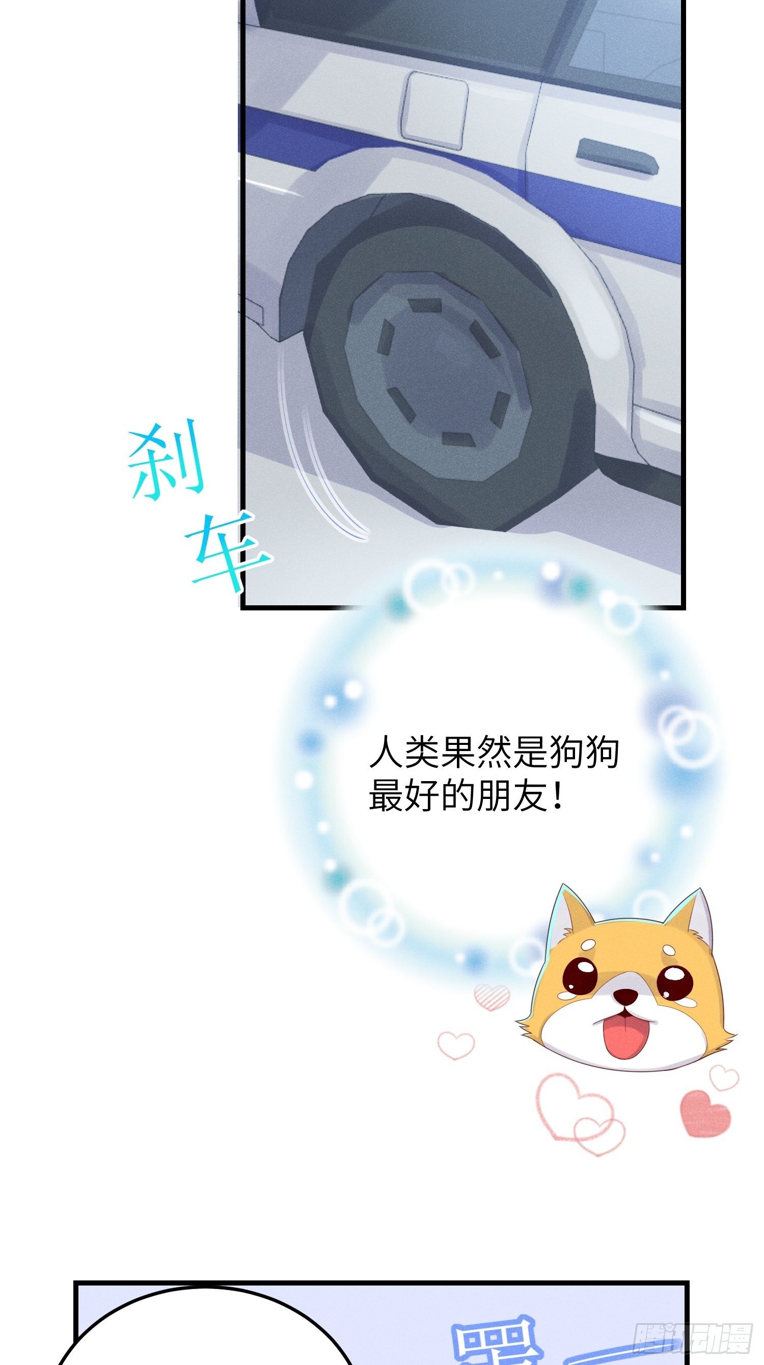人类的好朋友36