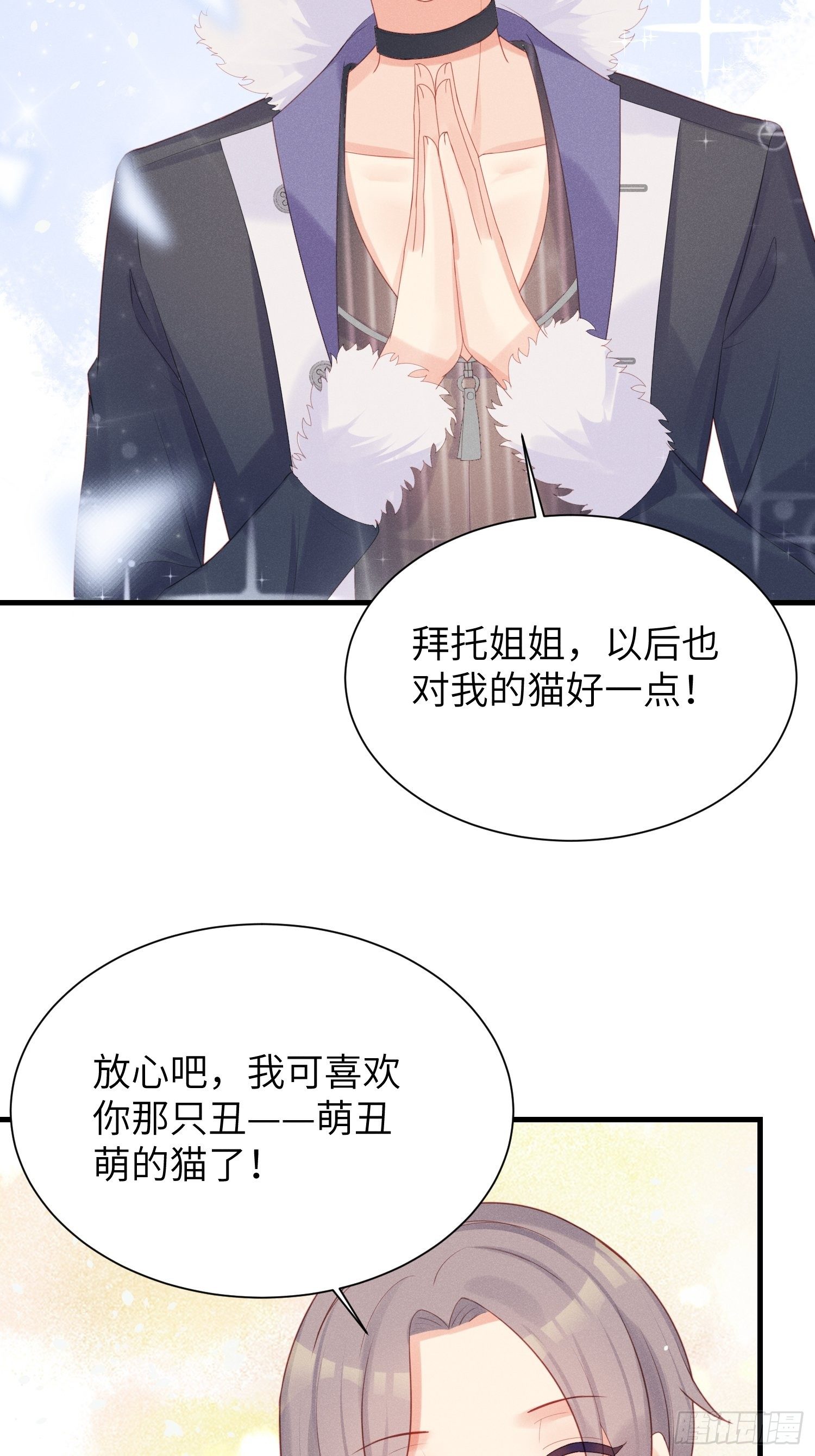 赌上喵的尊严！12