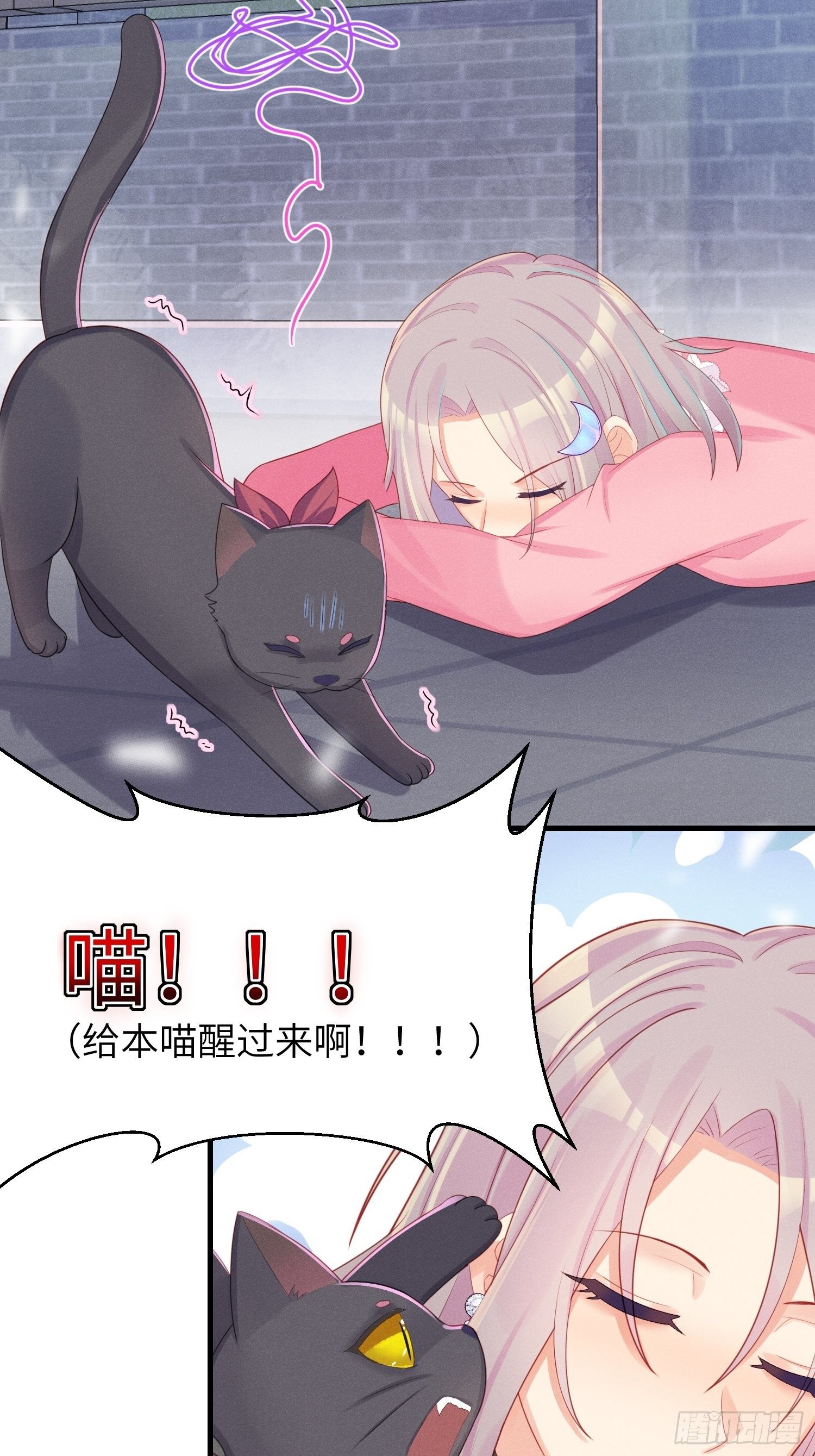 余苗苗的吻9