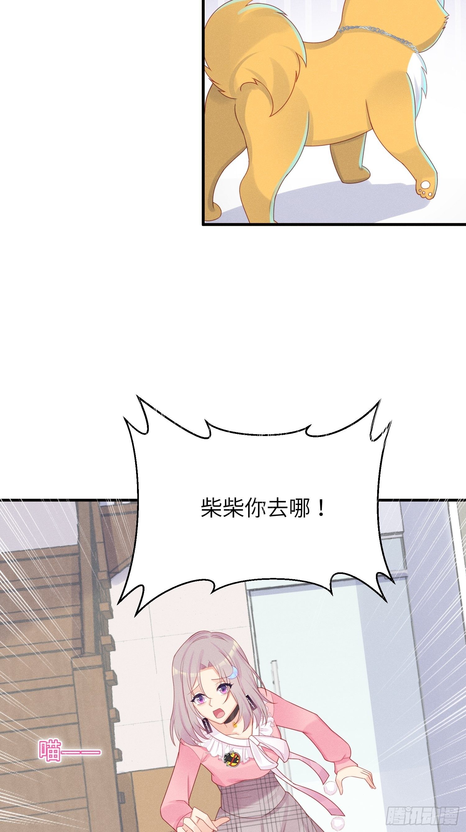 领地意识13