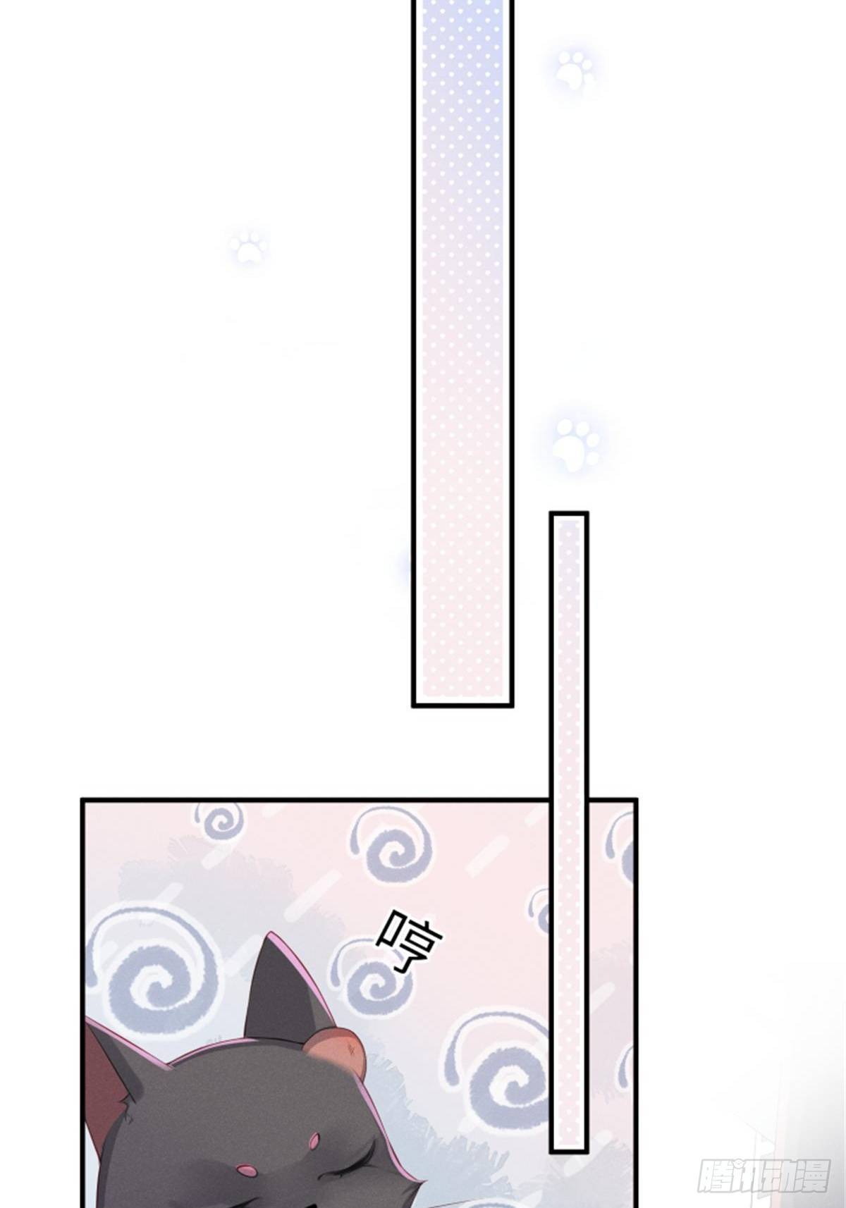 喵夫子有言：曲线救国18
