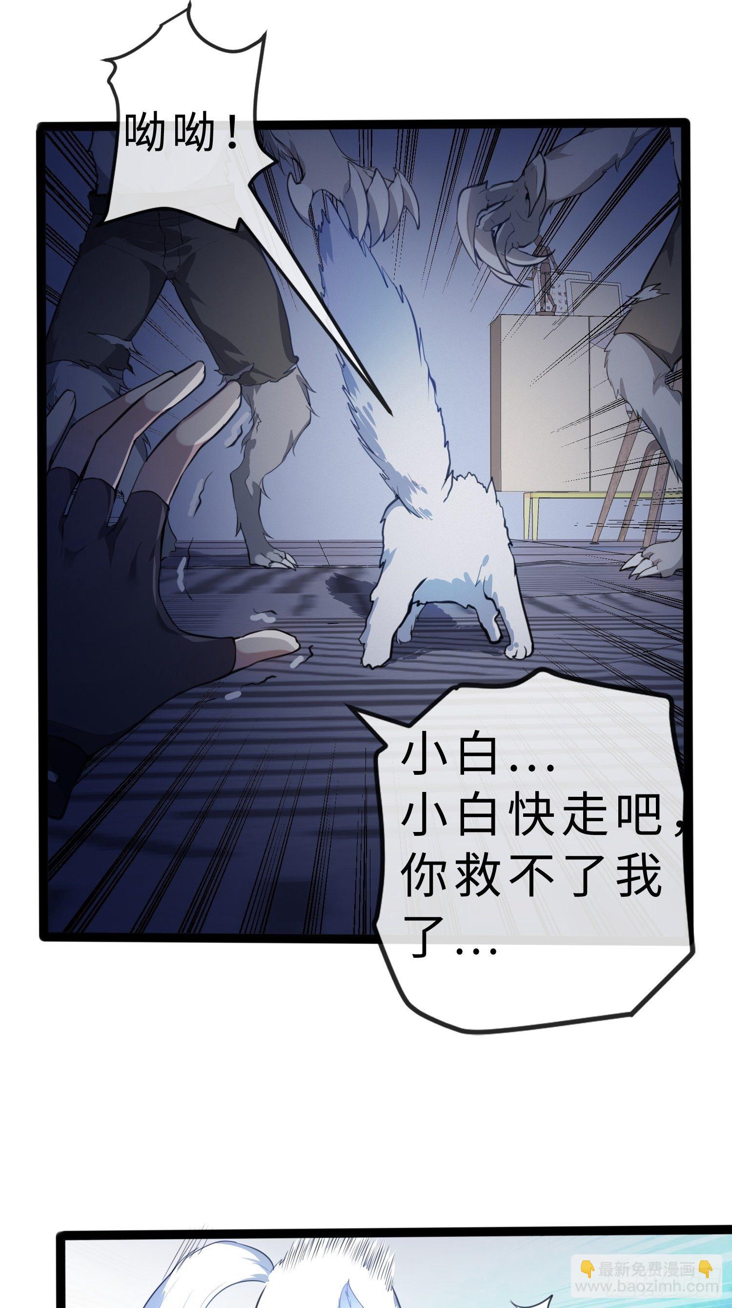 02妖兽契约6