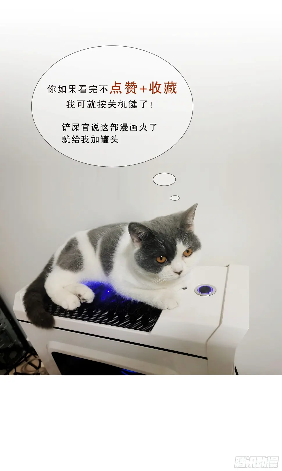 01开局一只狐77