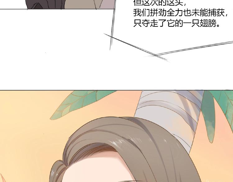 第2话 凶猛羽兽46