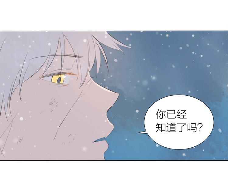 第22话 羽毛70
