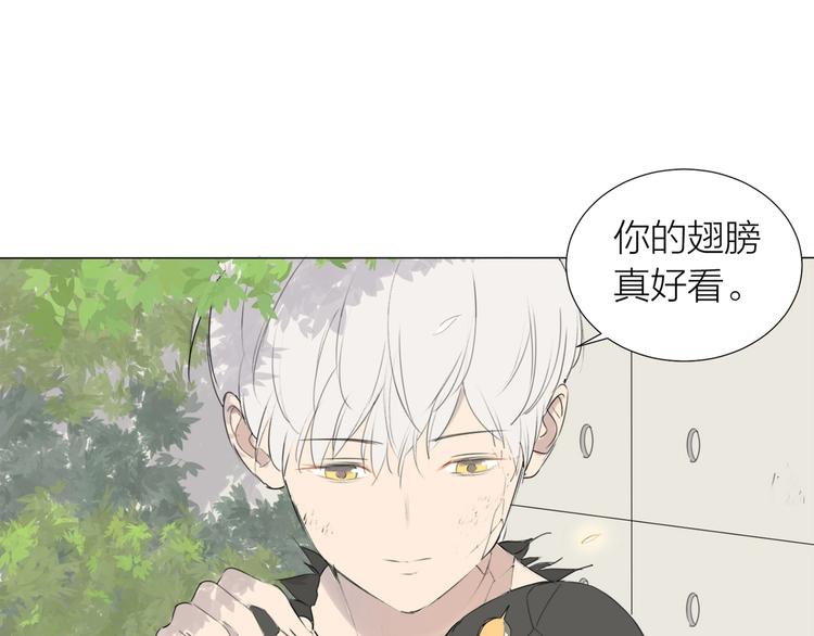 第16话 同伴45
