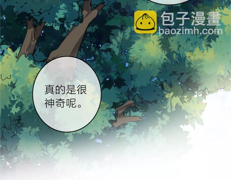 番外1  琥珀由来78