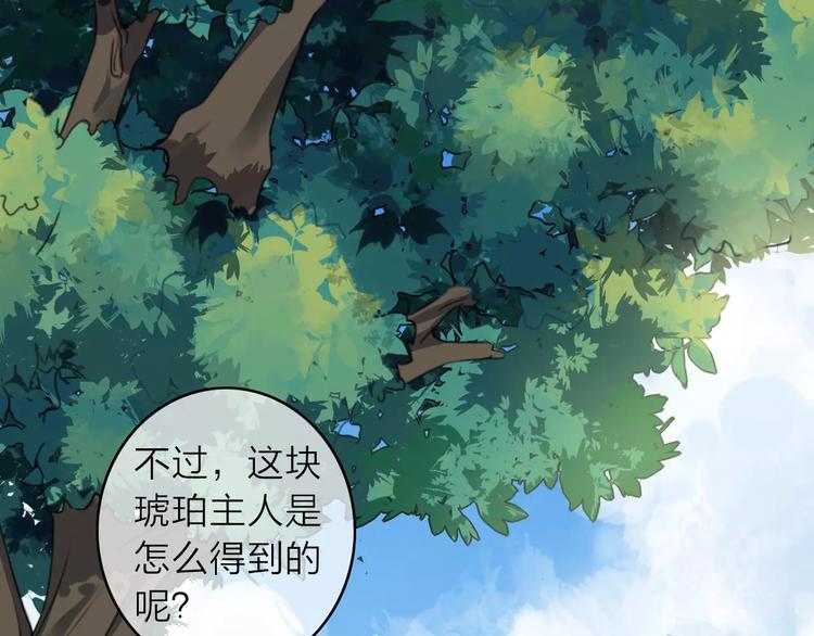 番外1  琥珀由来4