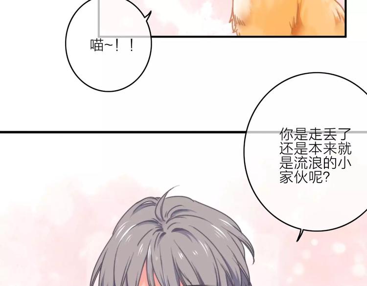 番外2  再次相遇86