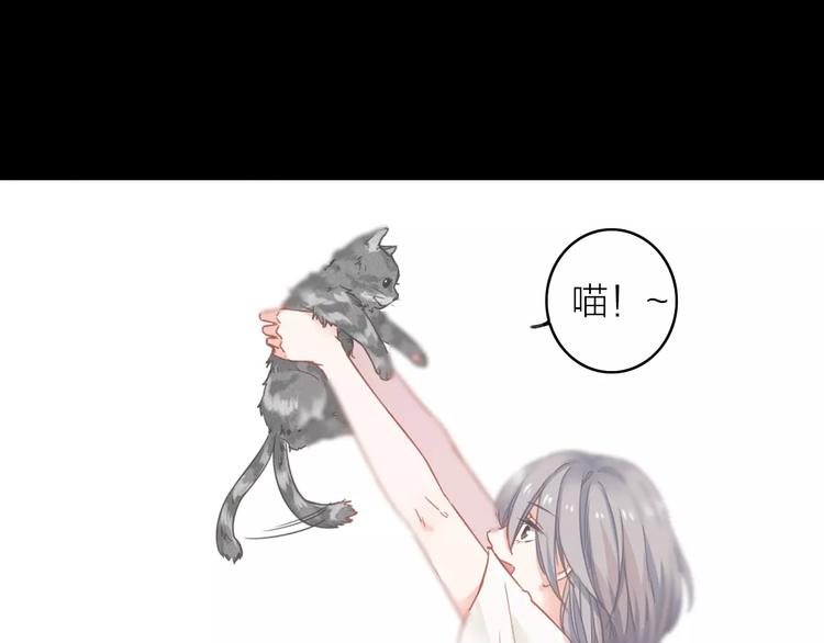 完结篇下 琥珀心（十五）162