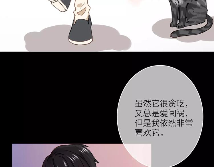 完结篇下 琥珀心（十五）168