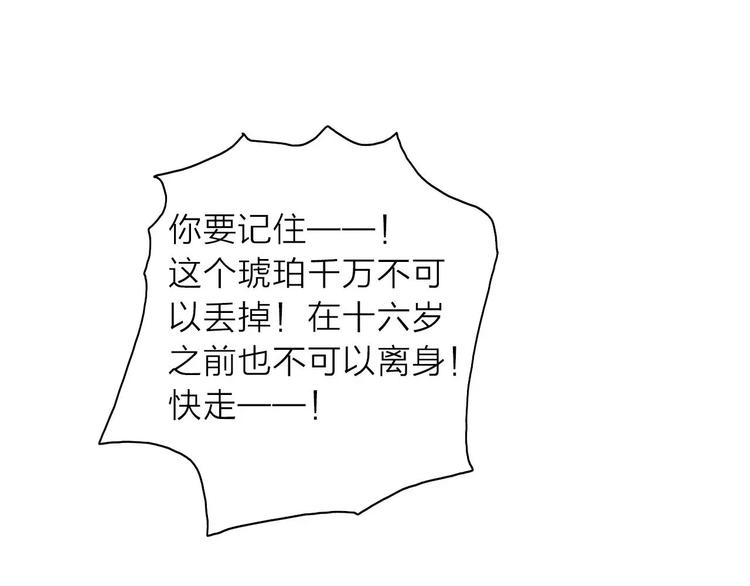 番外1  琥珀由来58