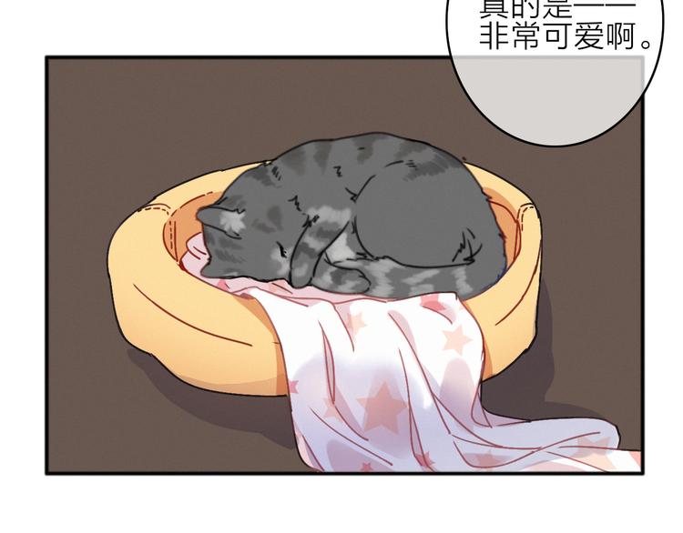 第7话 琥珀心（七）71