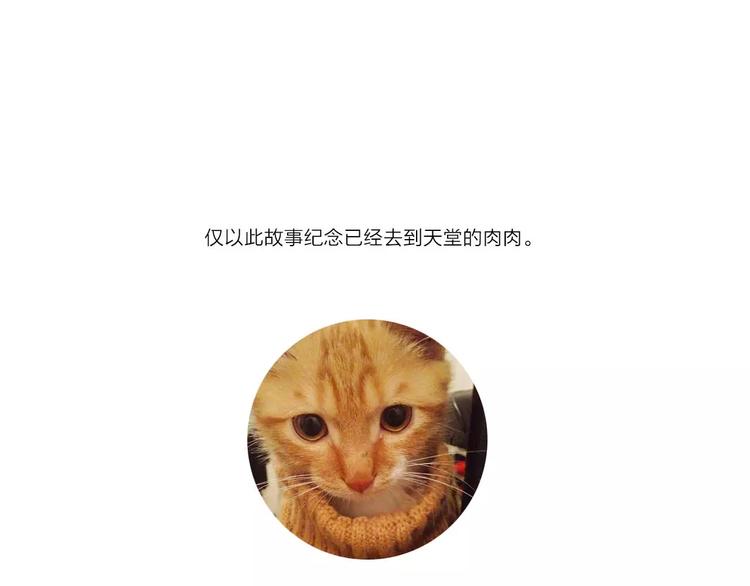 番外2  再次相遇111