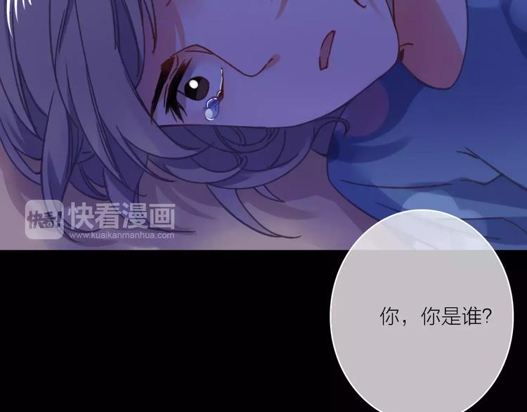 完结篇上 琥珀心（十五）101