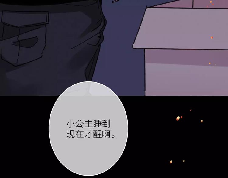 完结篇上 琥珀心（十五）98