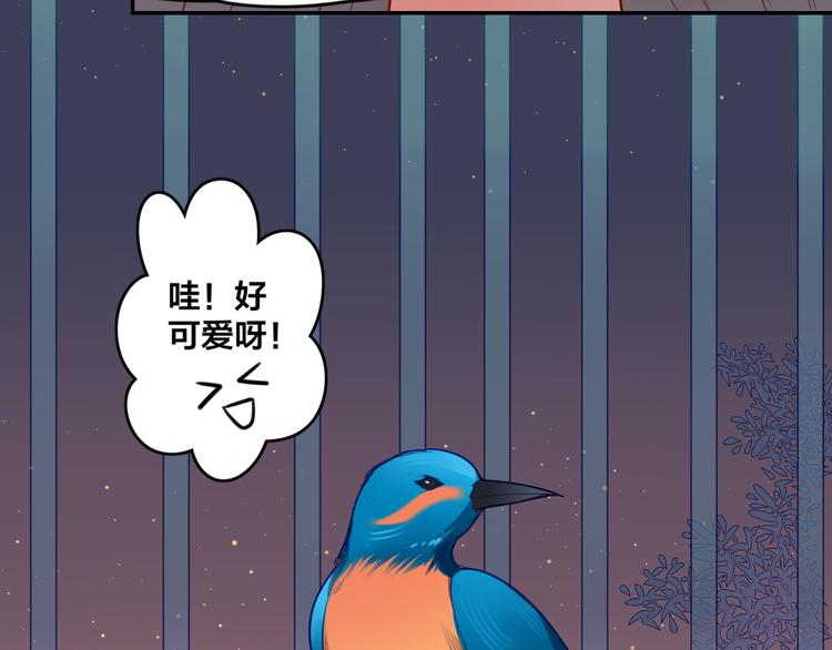 第1话  找寻秘密68