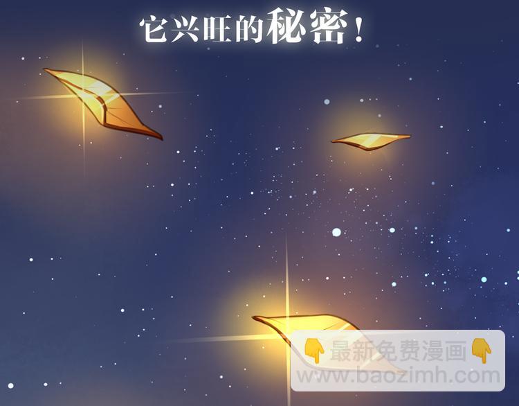 序章  锦鲤归14