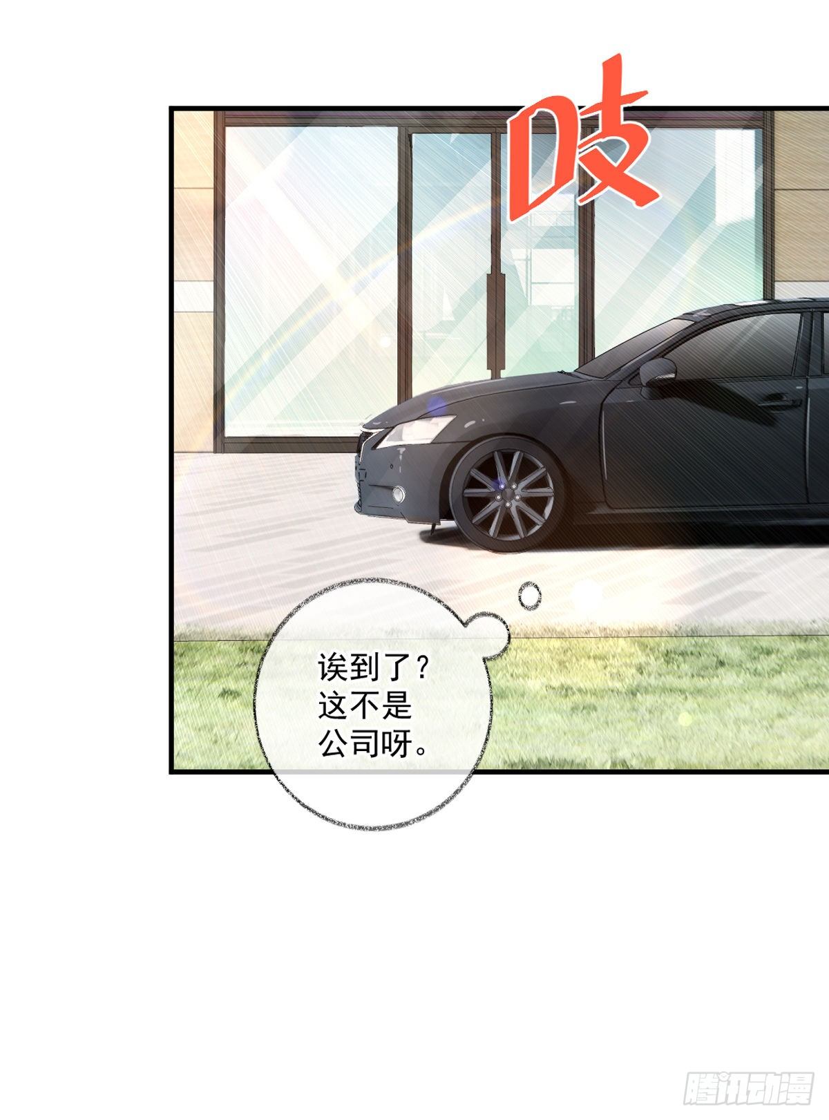 我不绝育喵！7