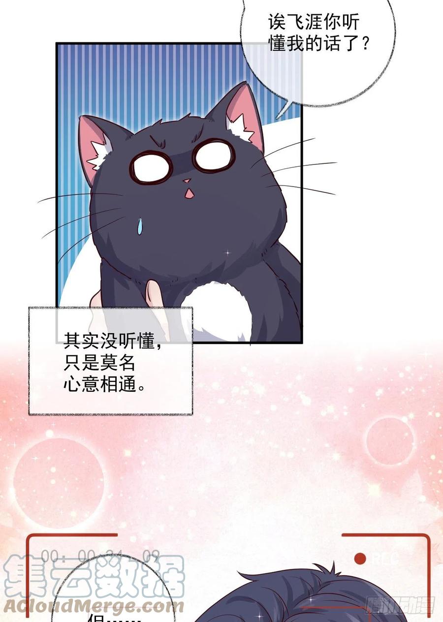 你我的见证喵~26