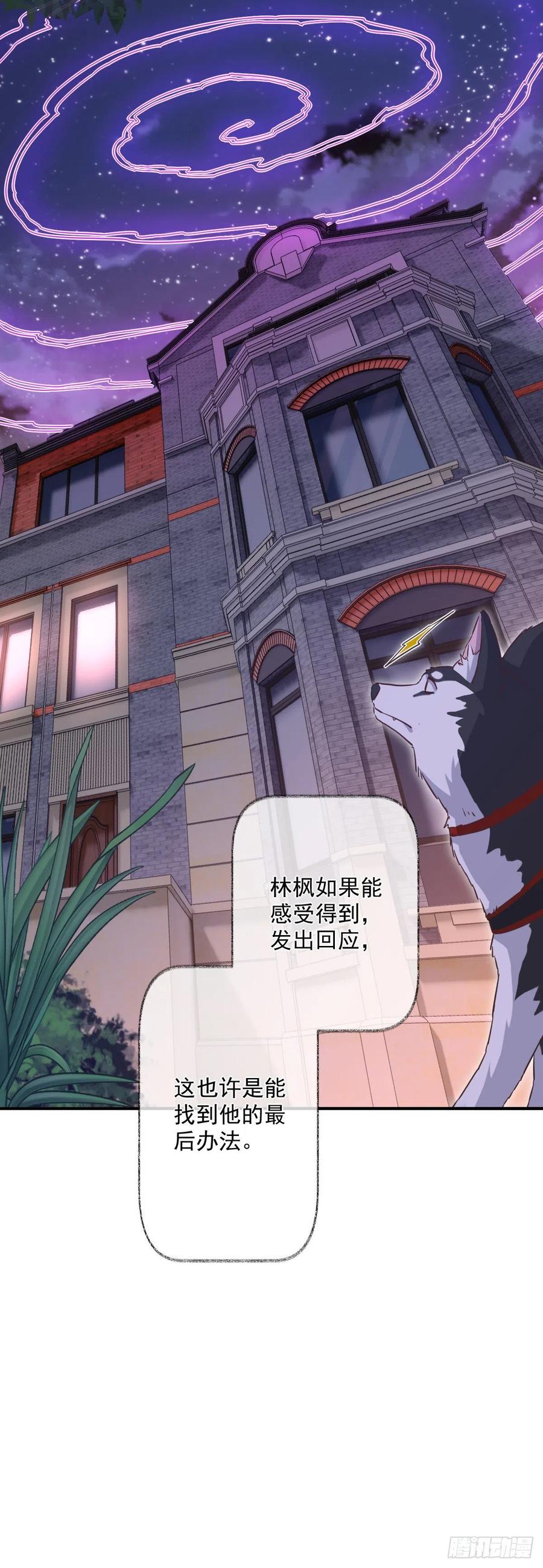 汪汪汪喵~27