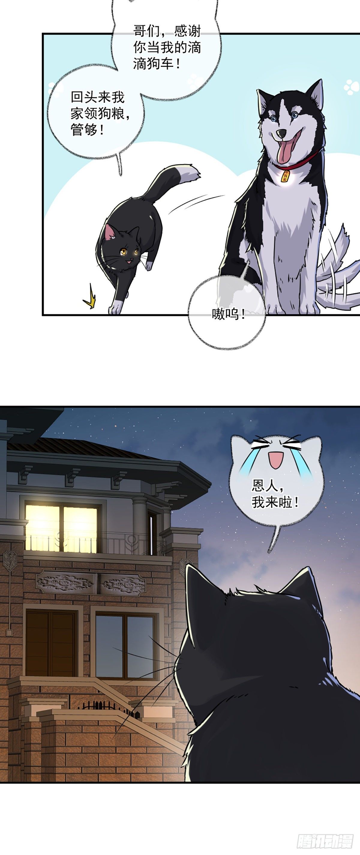嘀嘀狗车10
