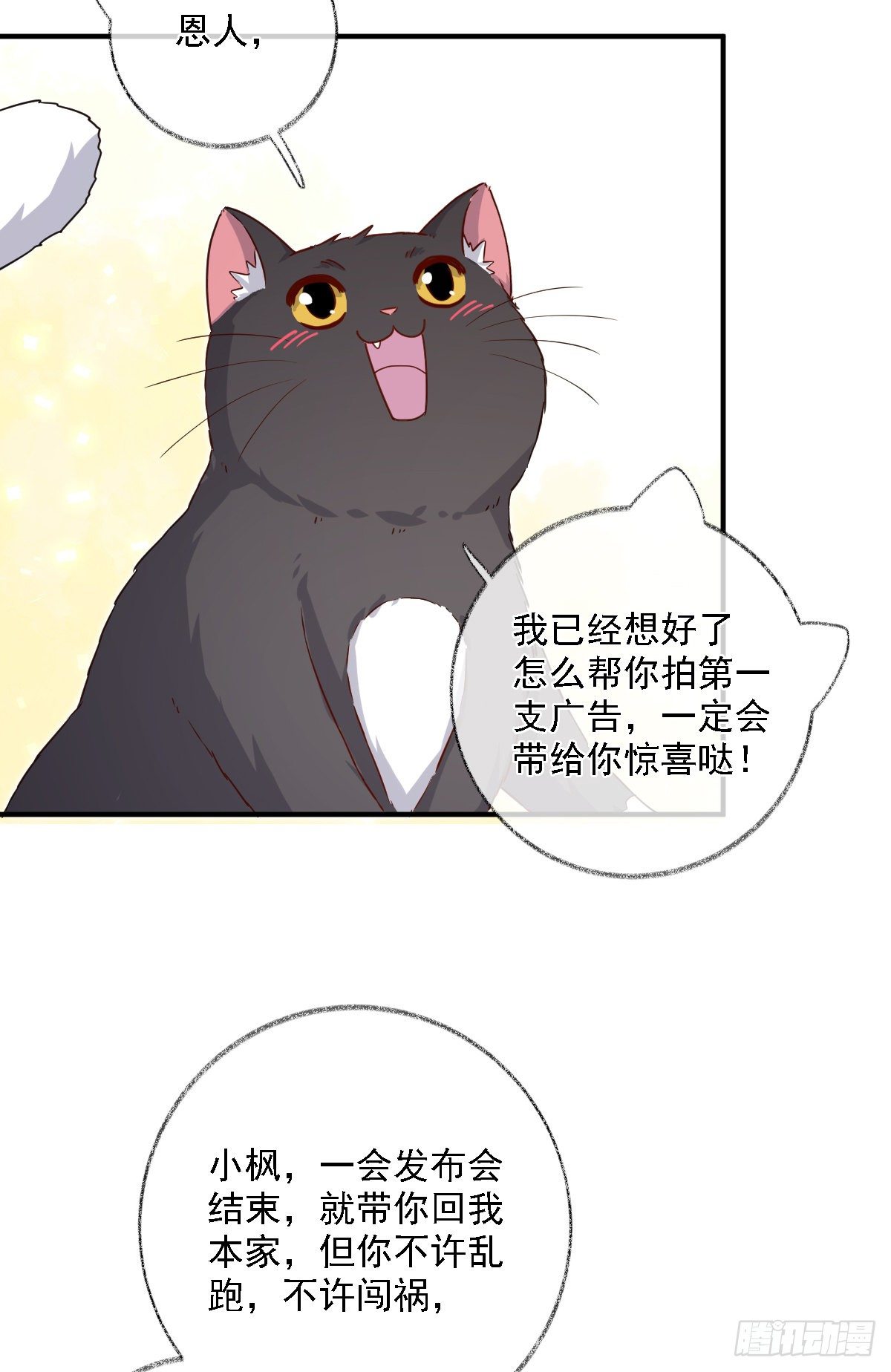 心怀鬼胎喵~31