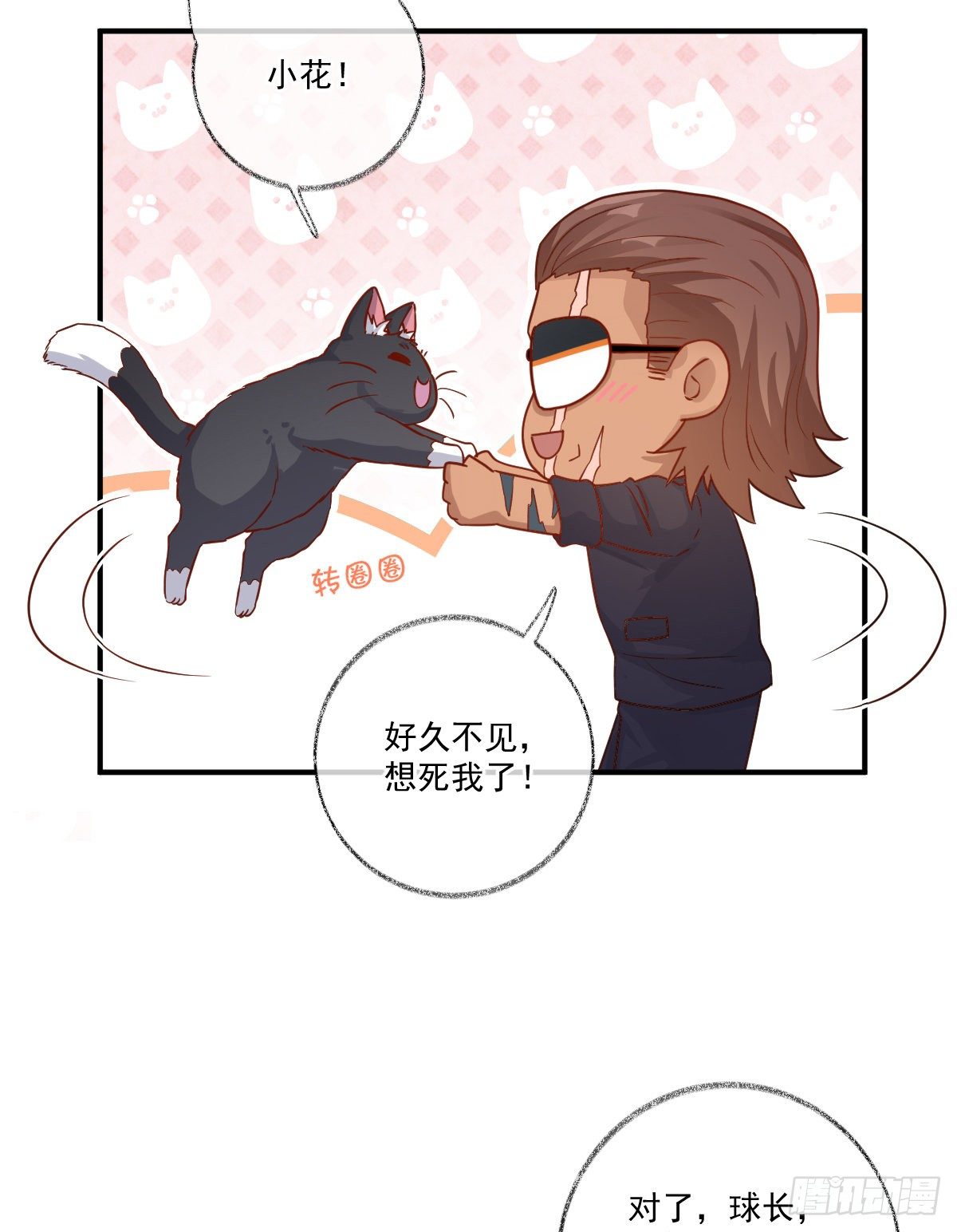 我不绝育喵！32