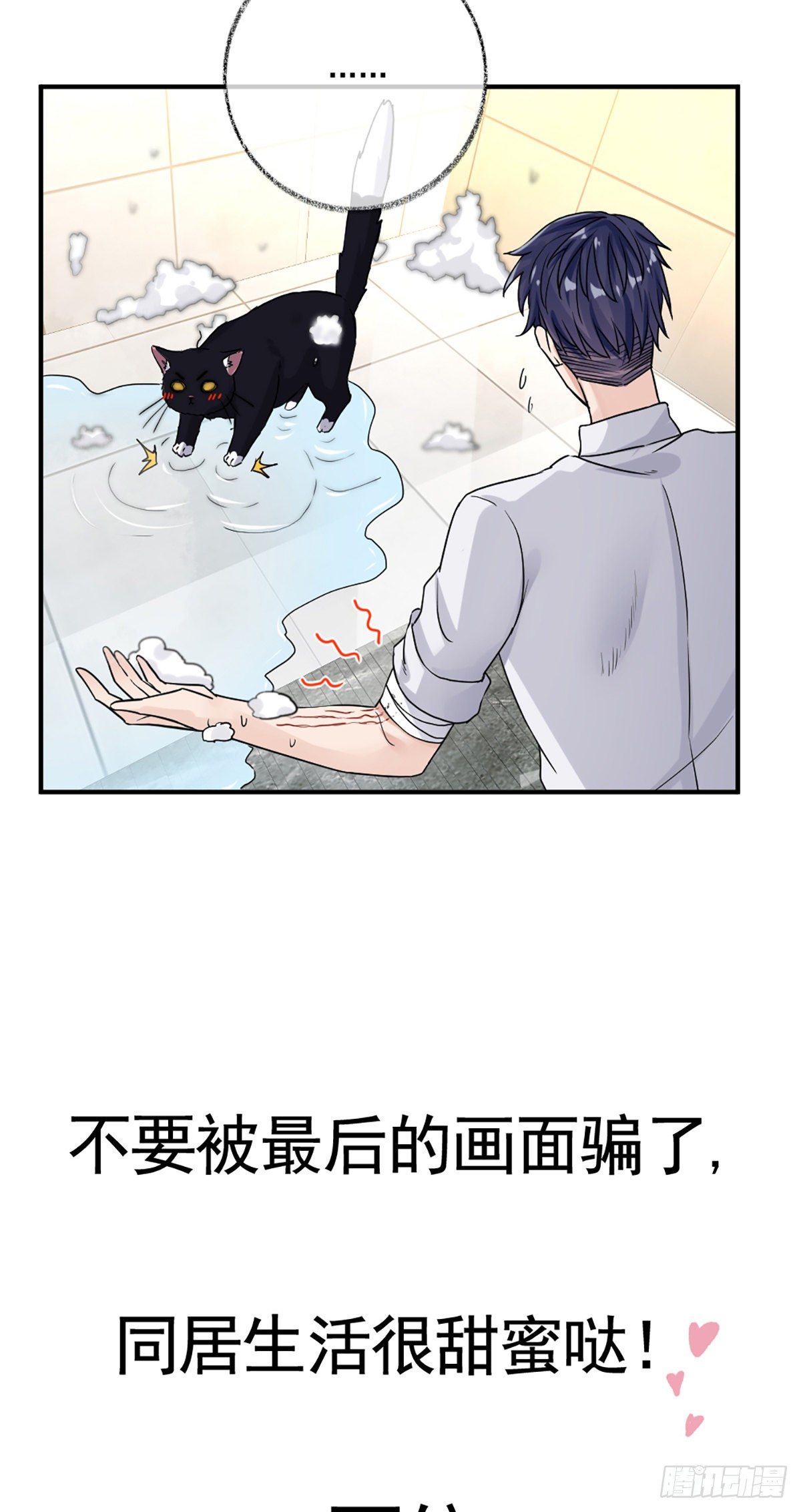 预告11