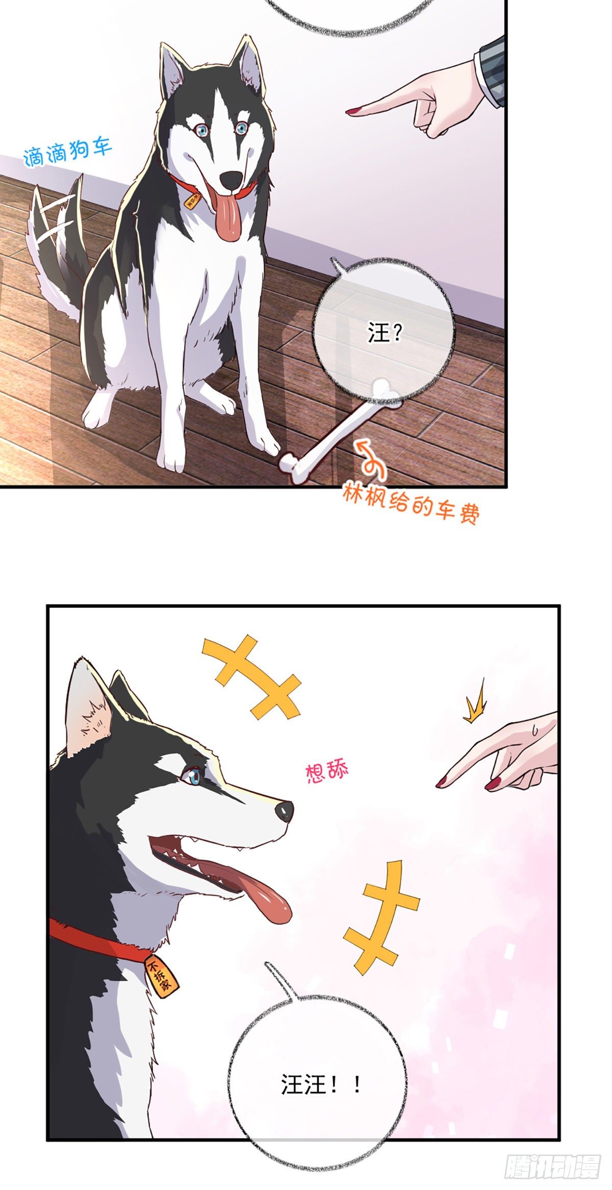 你是这样的恩人喵~5