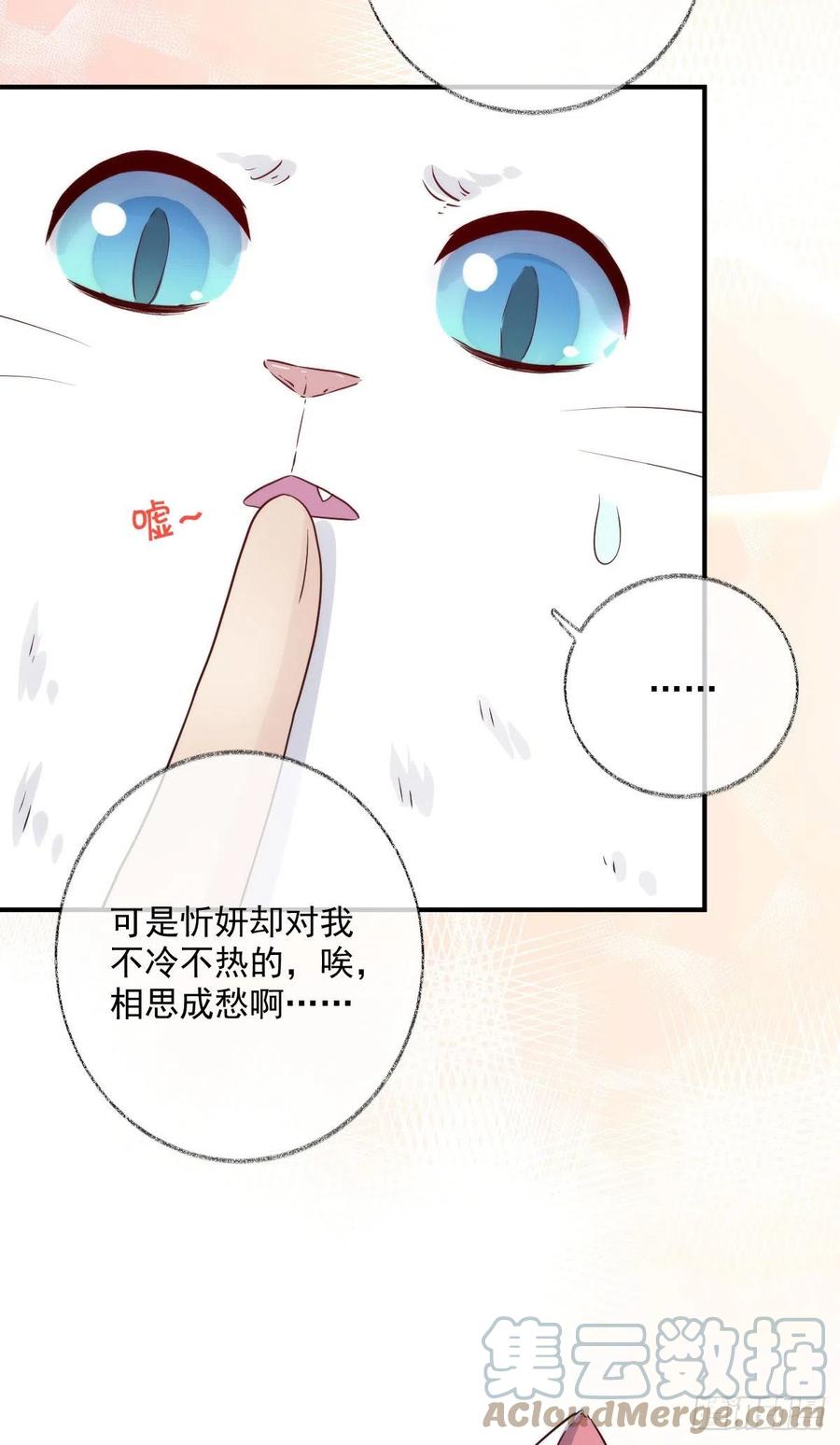 还是我不对劲喵~12