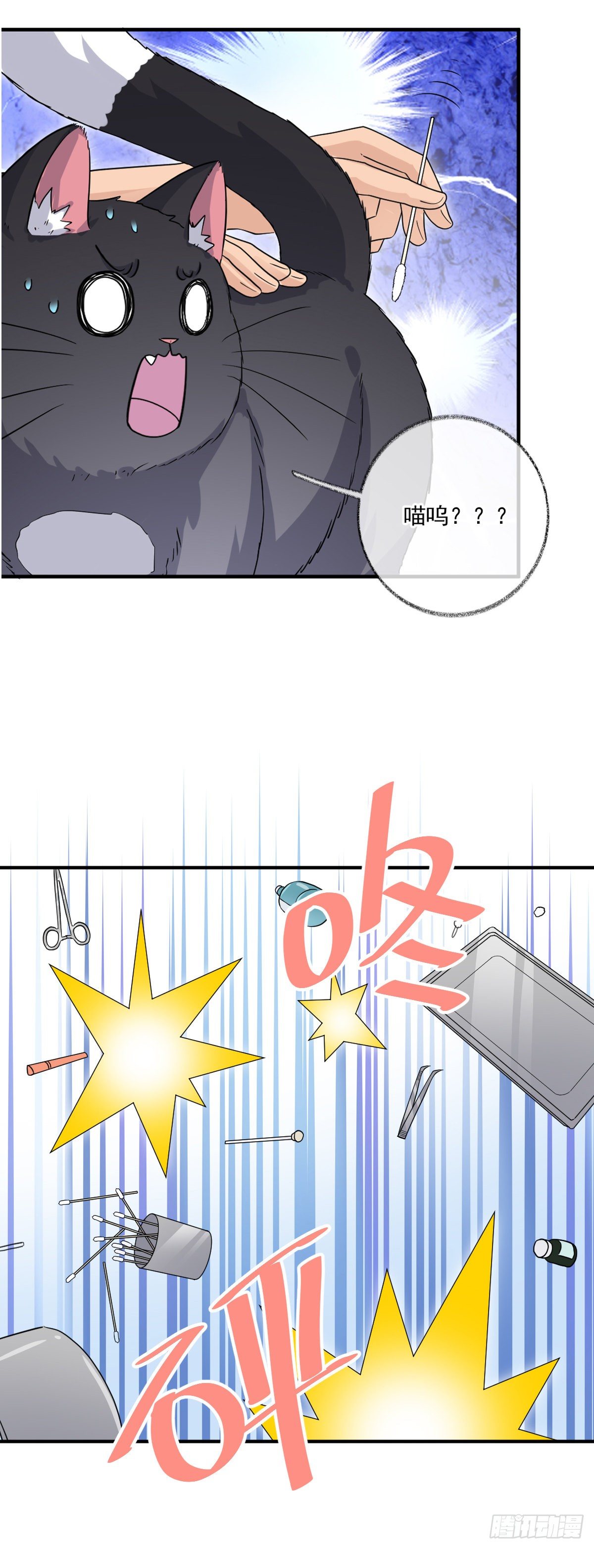 我不绝育喵！17