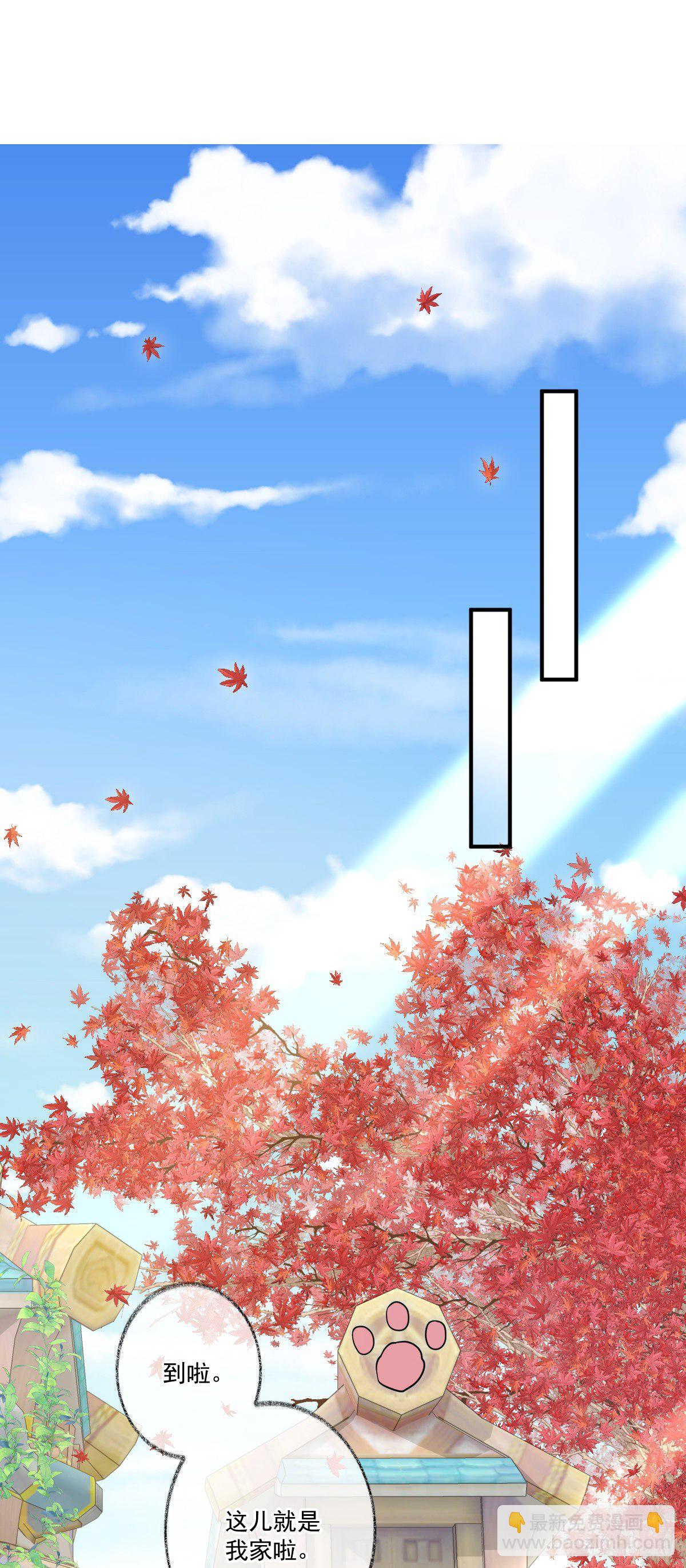我养你喵~18