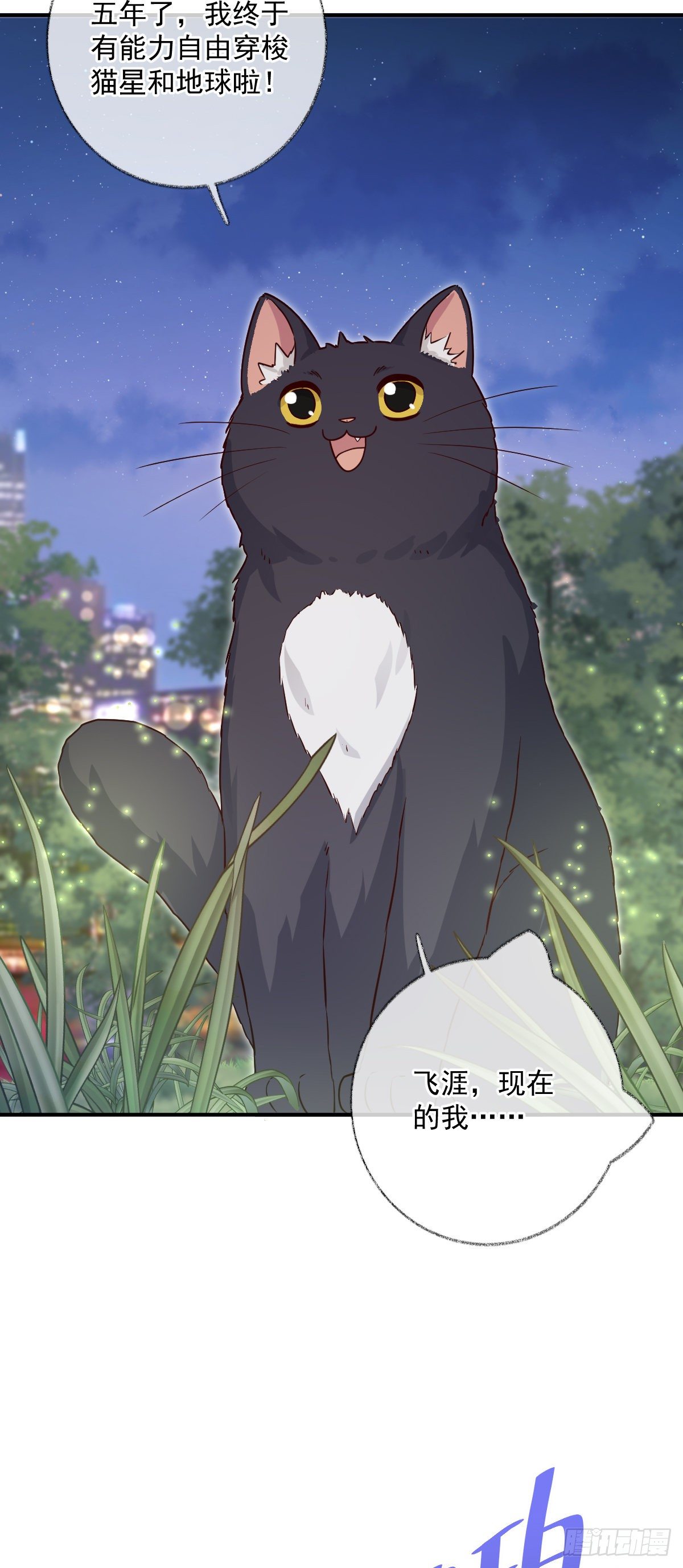 完结：一如初见喵~14