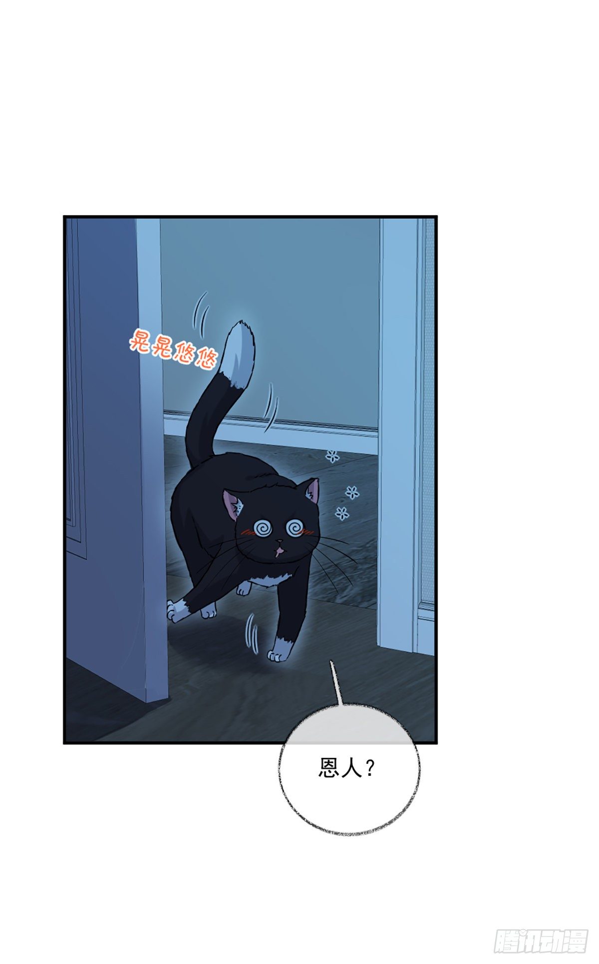 再次相见喵~1