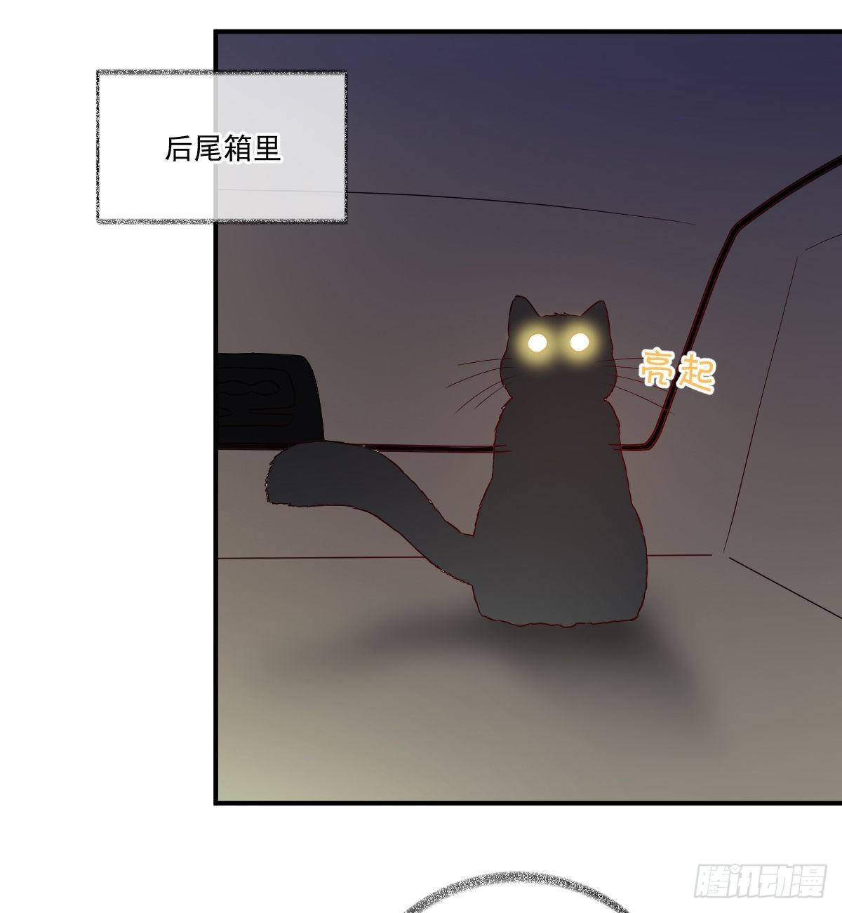 生气了哄不好喵~7