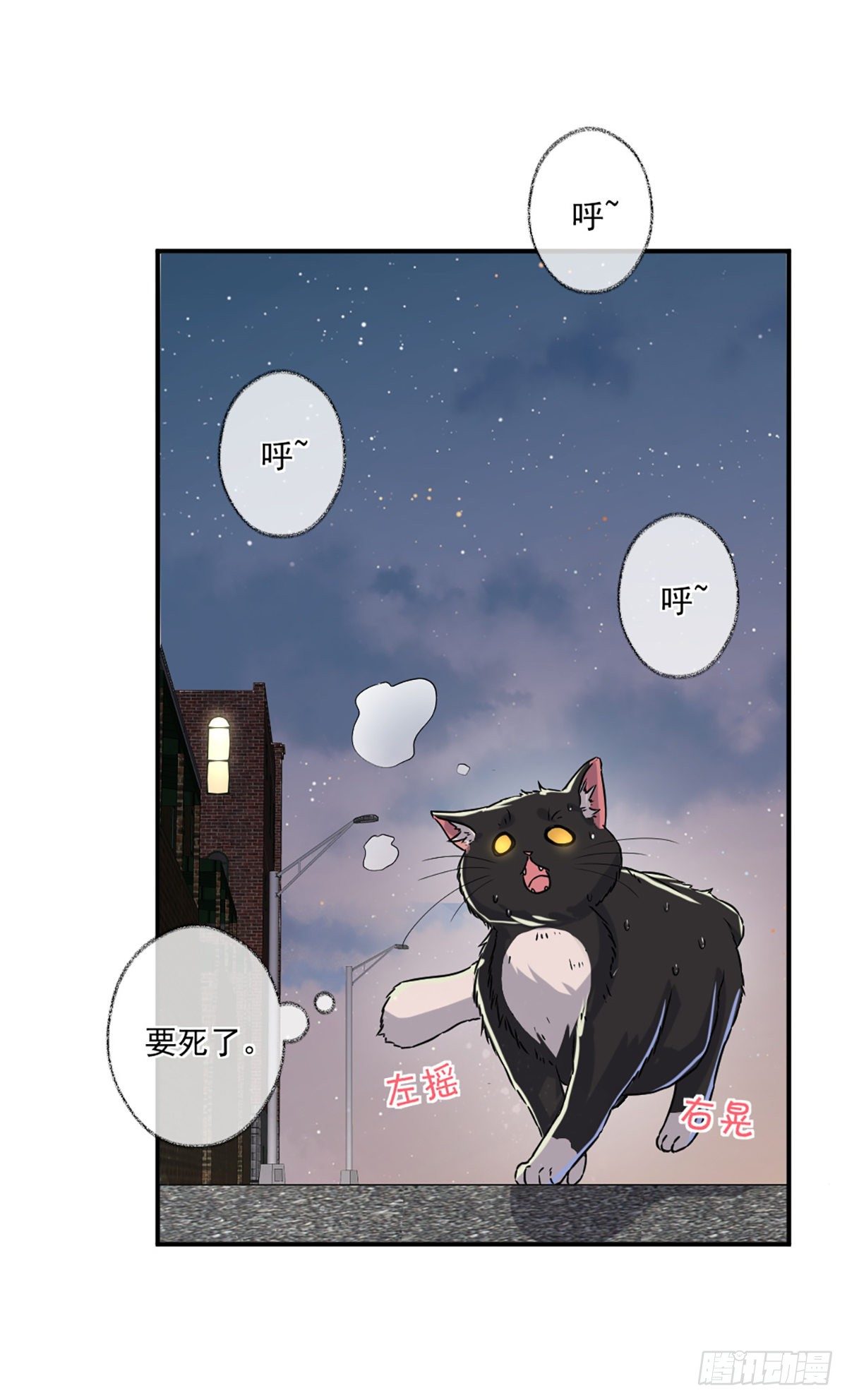 速度与激情喵~6