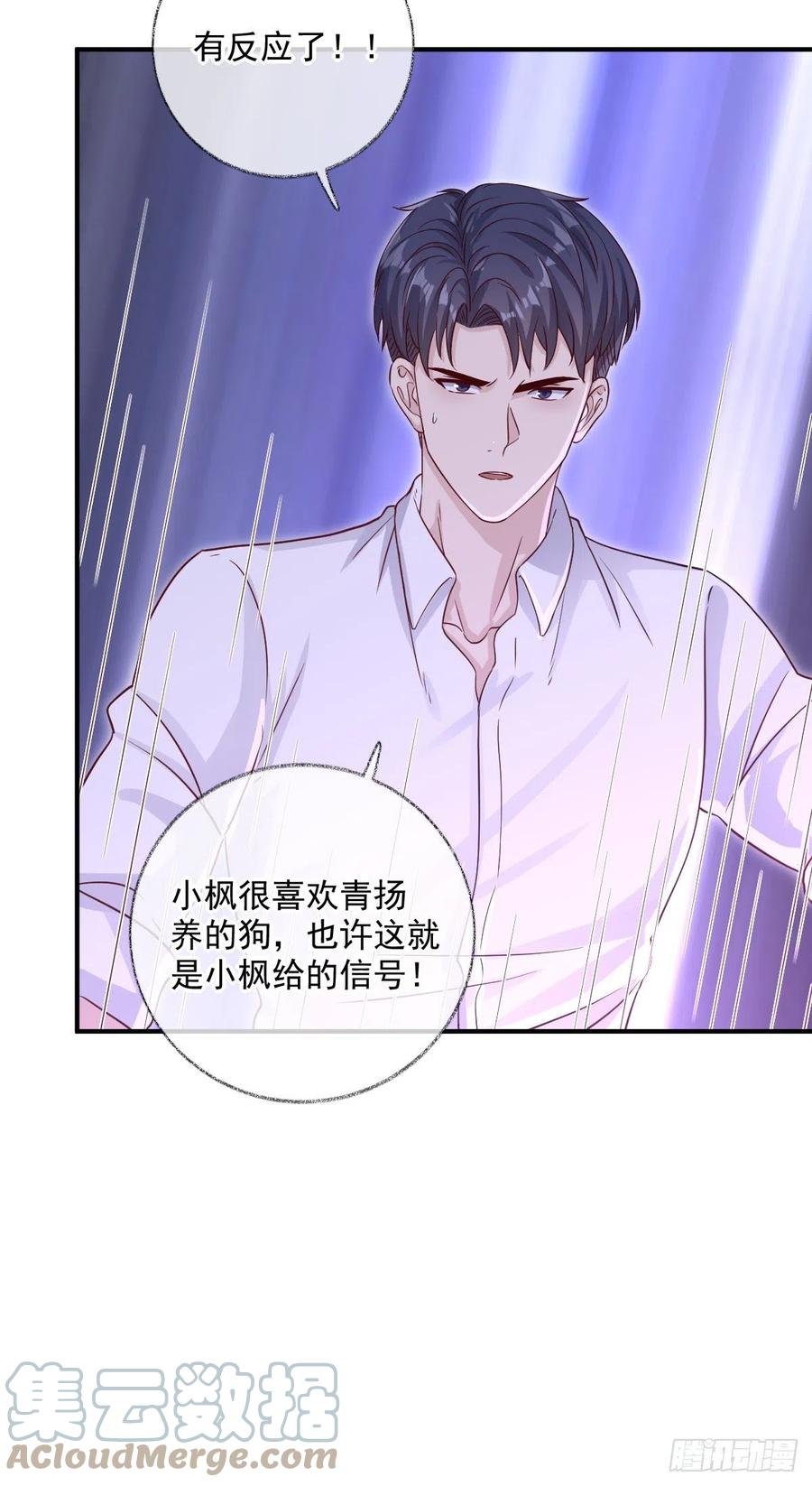 来不及了喵~2