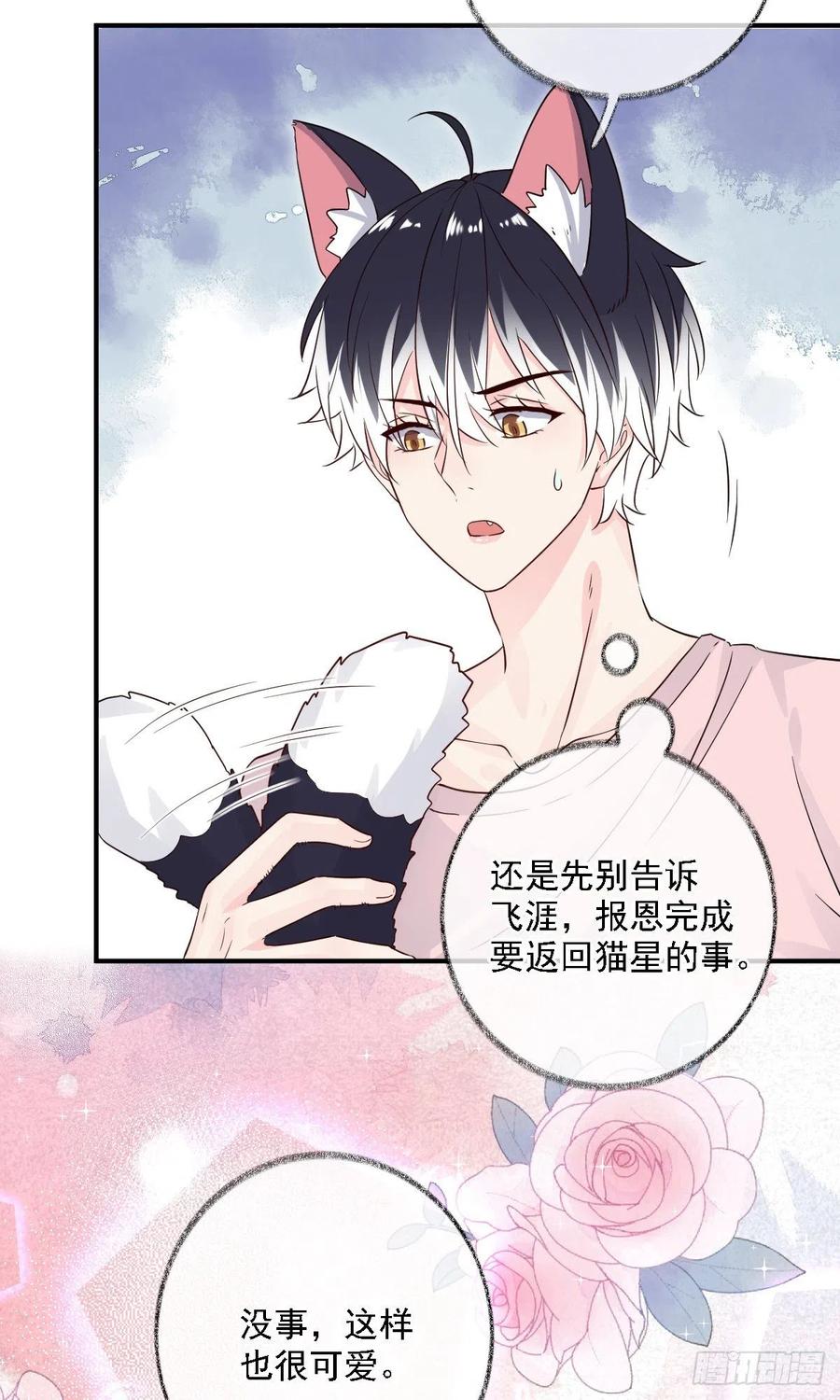 要我帮你洗澡吗喵~27