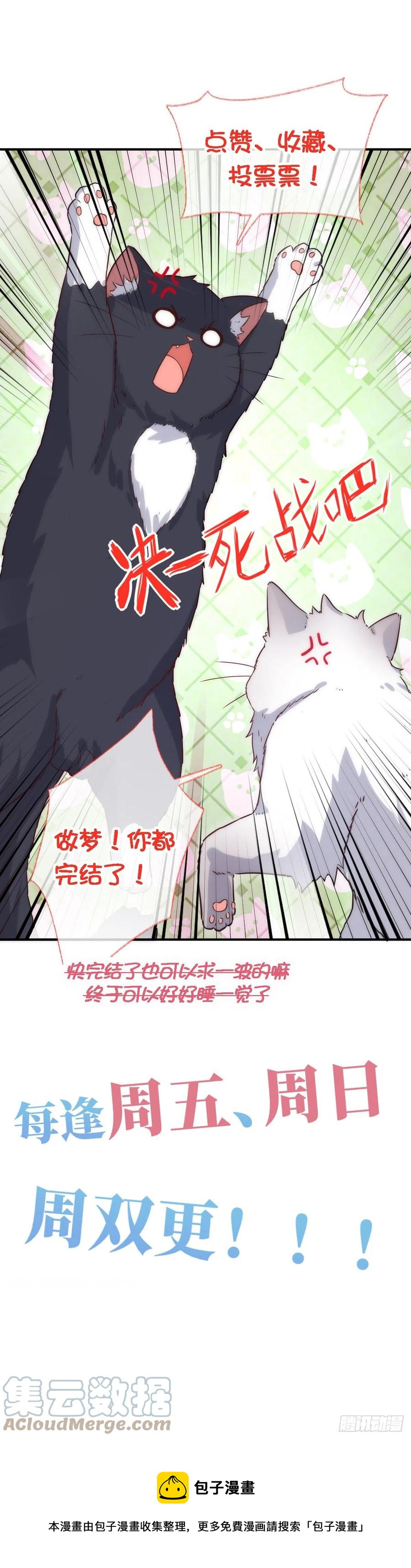 说不出再见喵~34