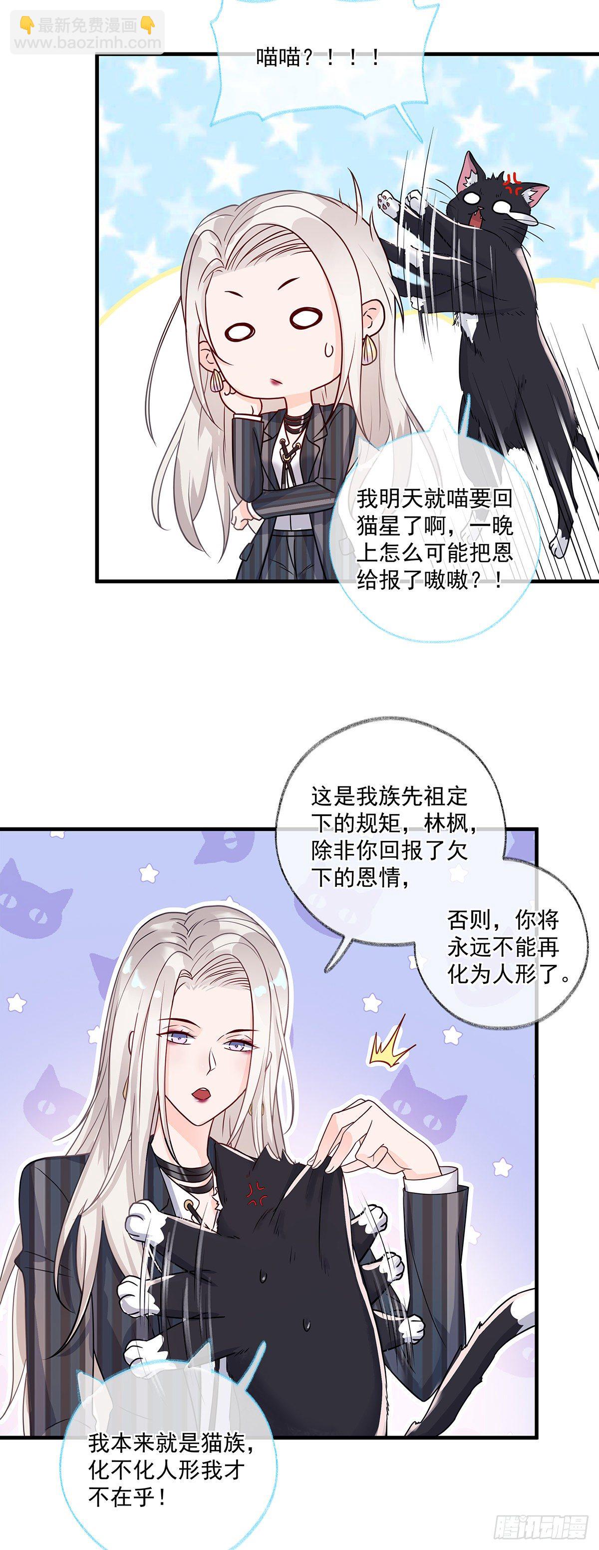 报恩是什么喵~25