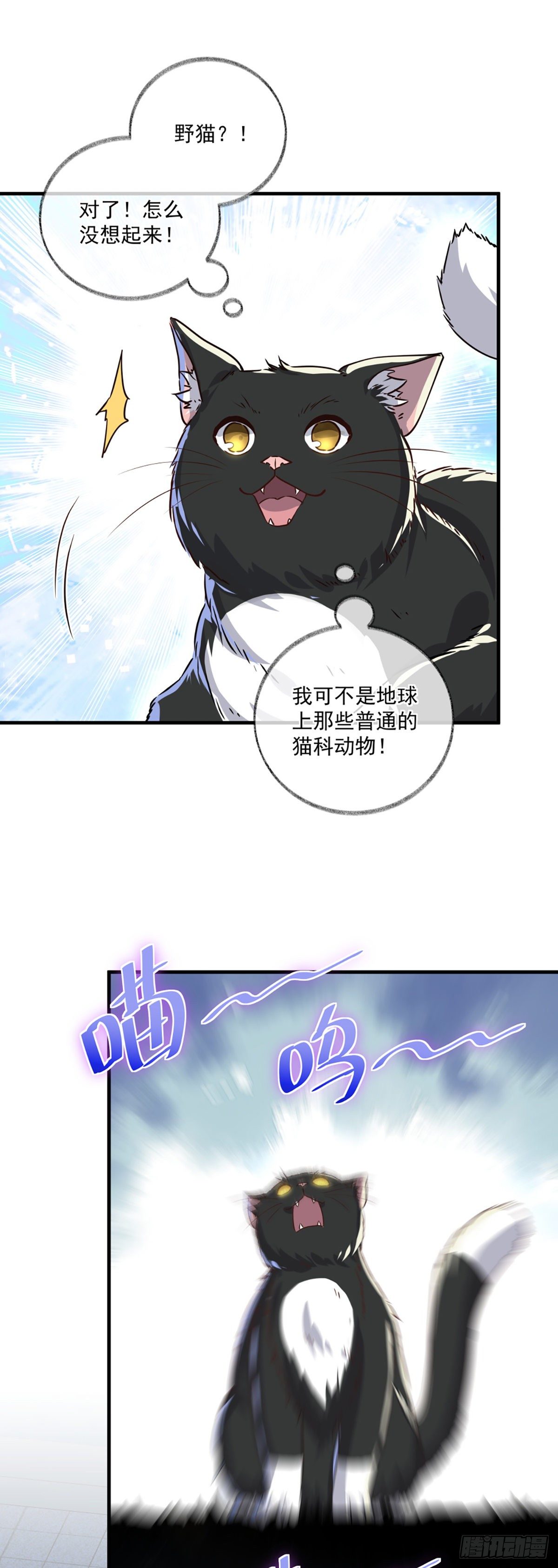 恩人你在哪里呀喵~23