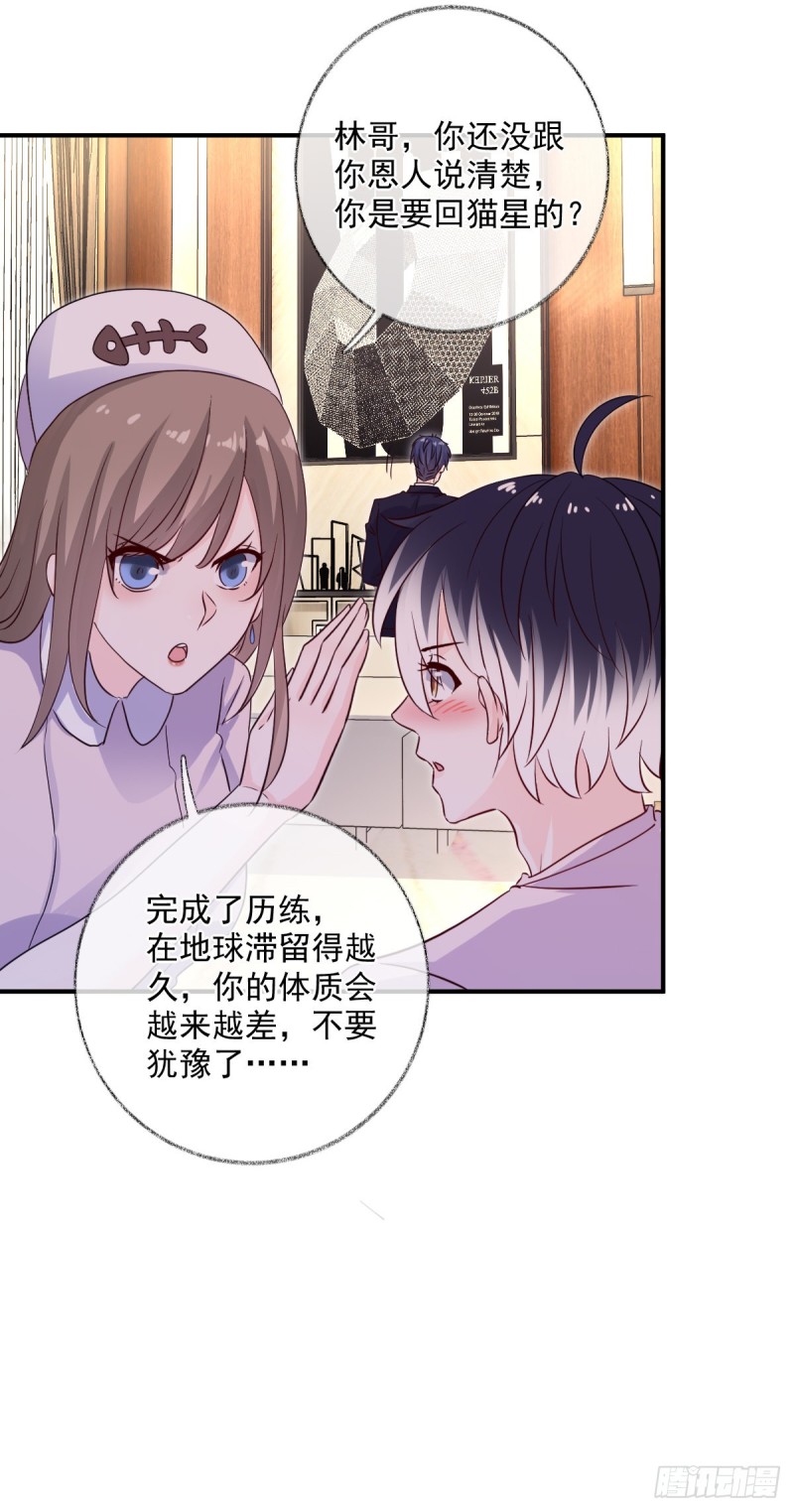 生病了喵~29