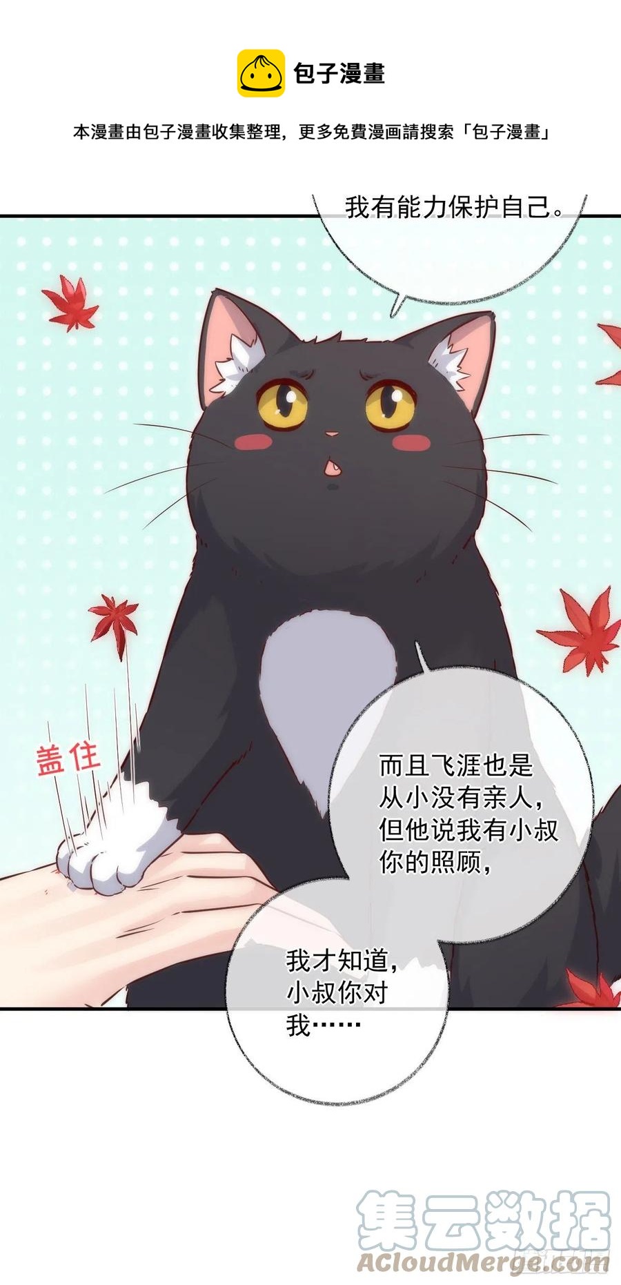 未来可期喵~6
