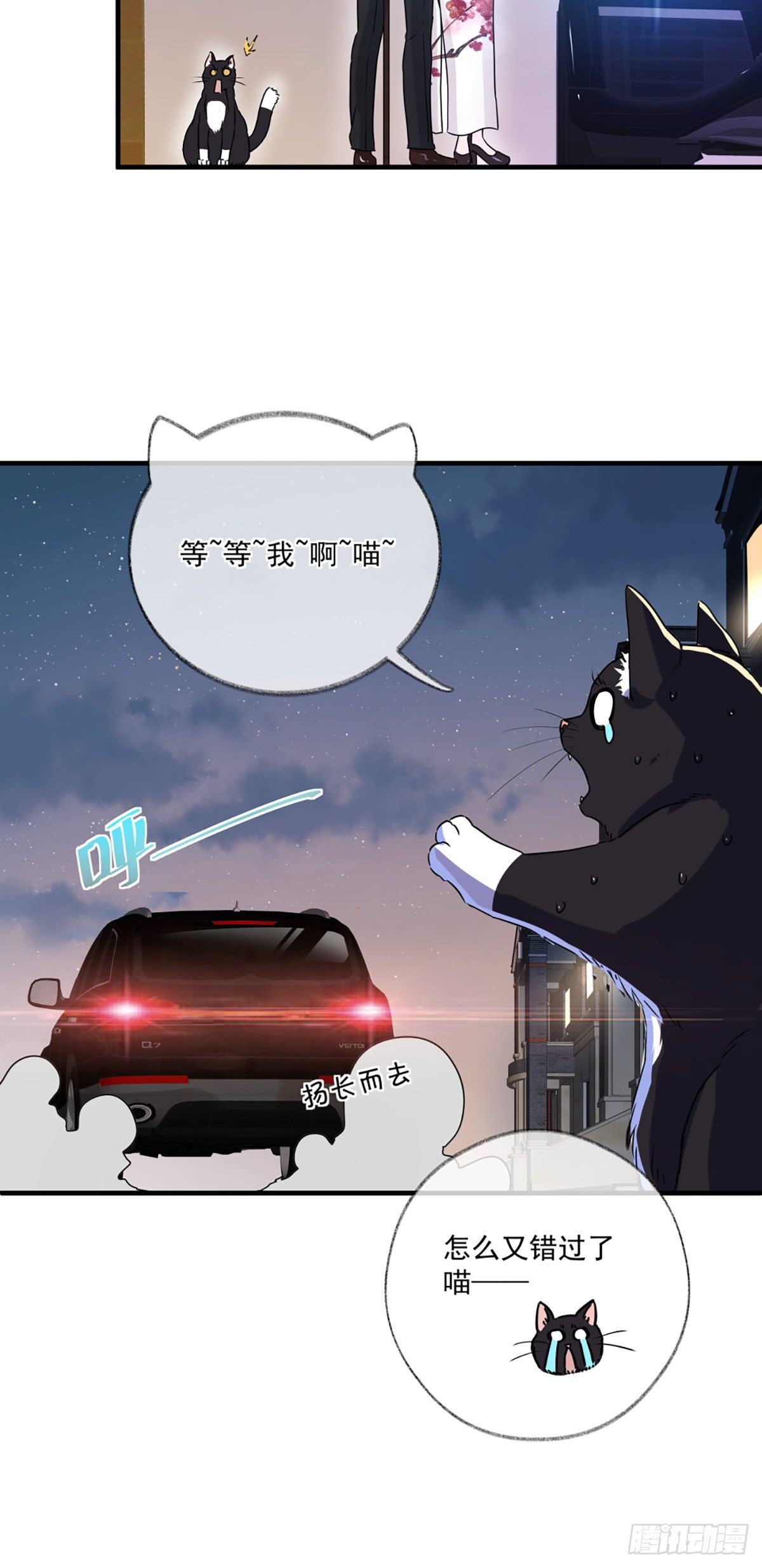 恩人你在哪里呀喵~39